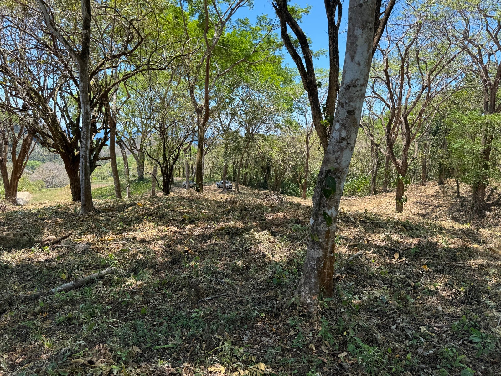 Gorgeous Ocean View Lot in Quiet Residential Neighborhood — photo 7 of 8