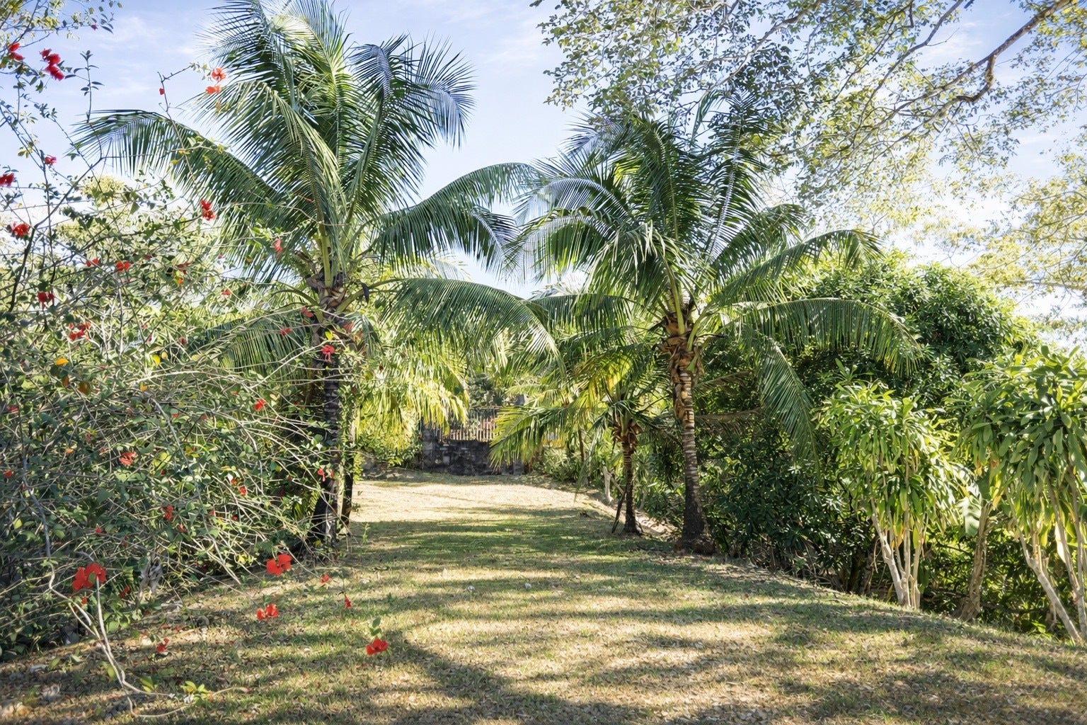 Three Acre Santiago Finca — photo 2 of 19