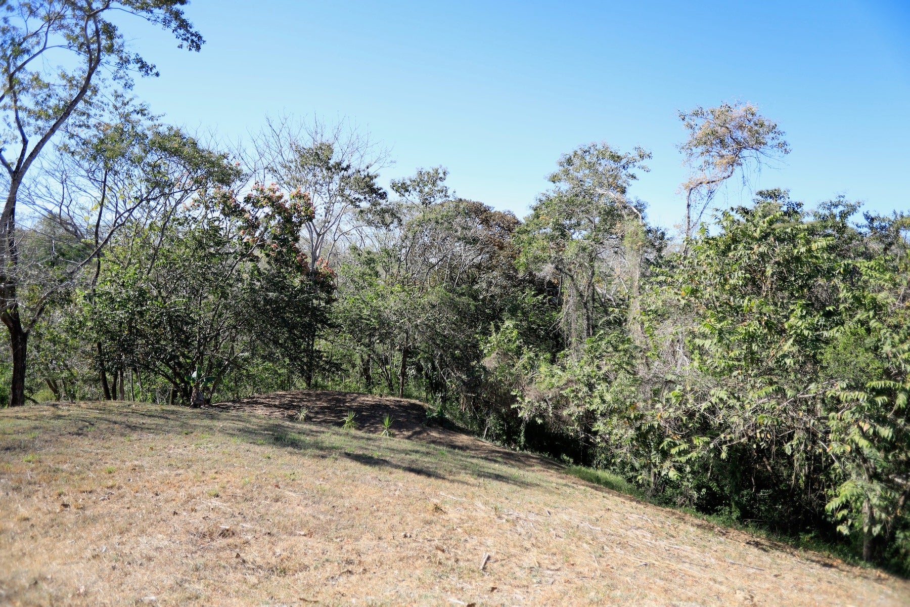 Three Acre Santiago Finca — photo 19 of 19