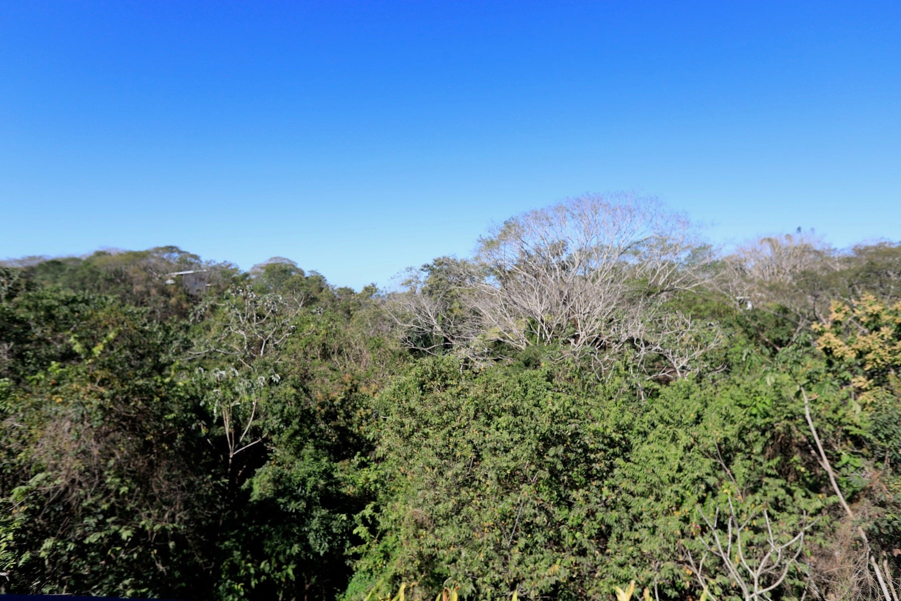 Three Acre Santiago Finca — photo 18 of 19