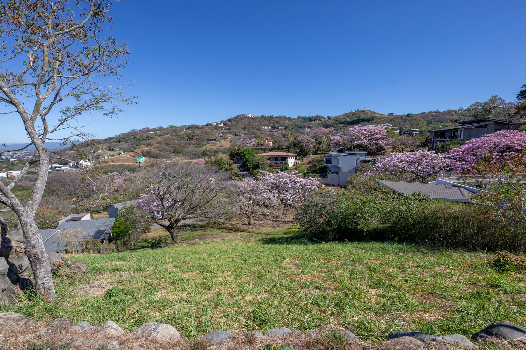 Residential Lot in Gated Community — photo 3 of 11