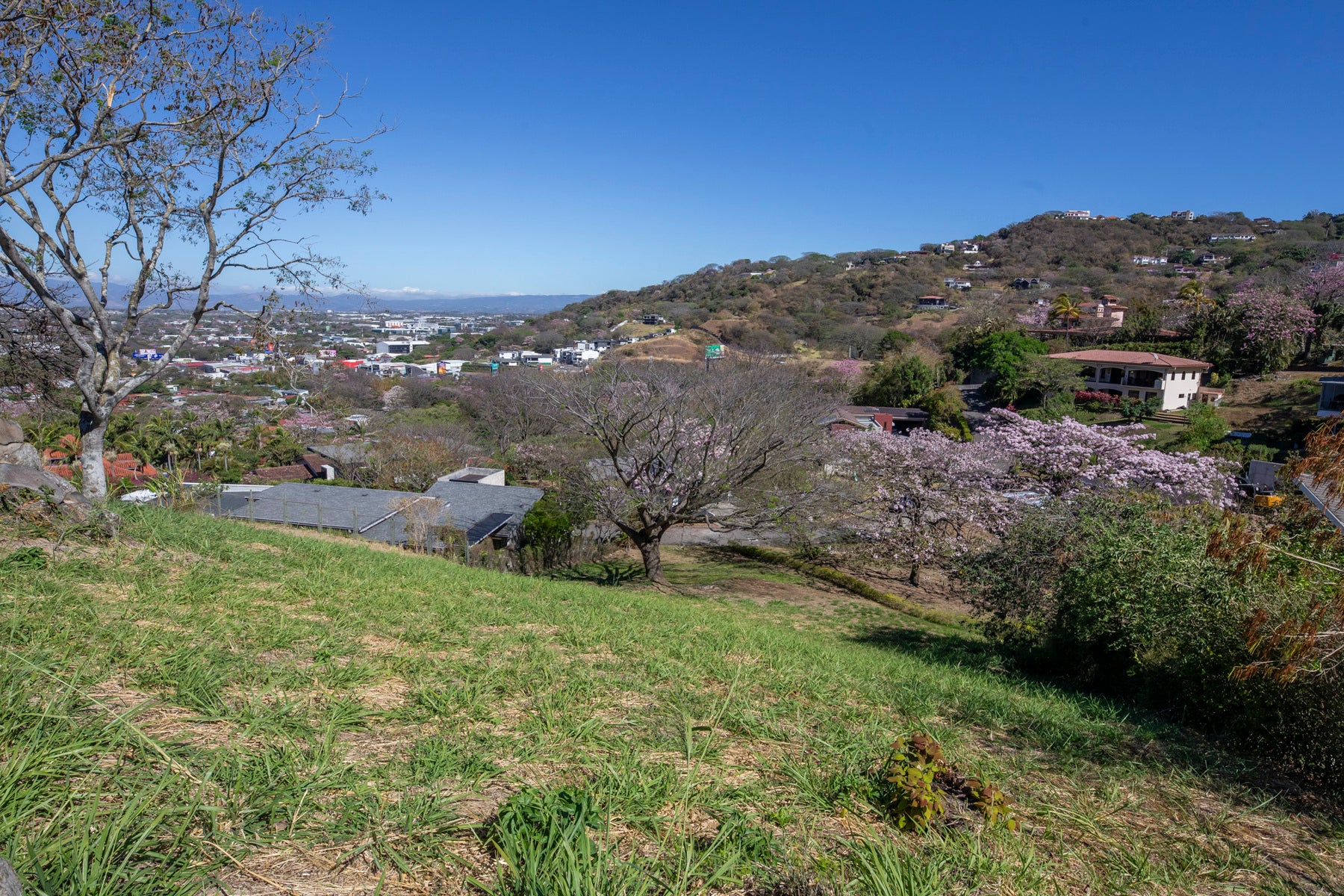 Residential Lot in Gated Community — photo 4 of 11