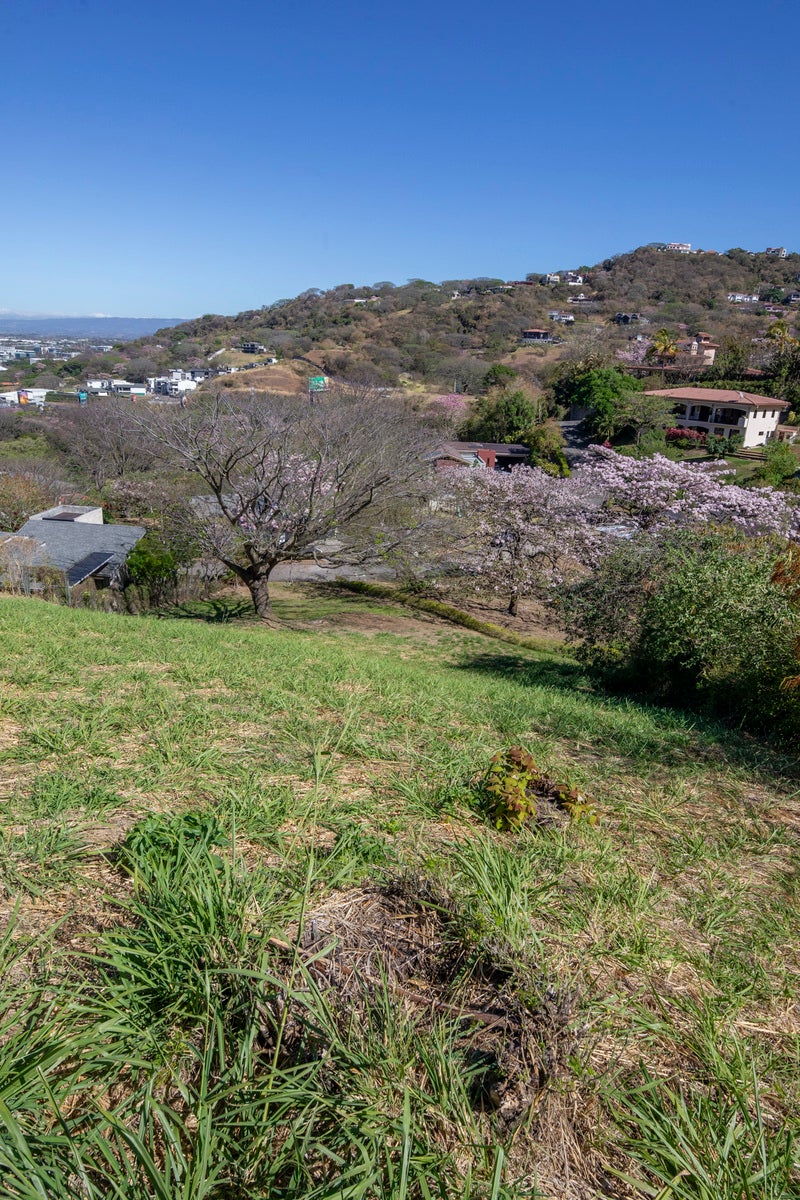 Residential Lot in Gated Community — photo 5 of 11