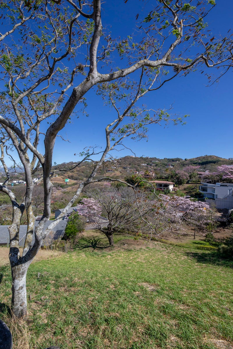 Residential Lot in Gated Community — photo 7 of 11