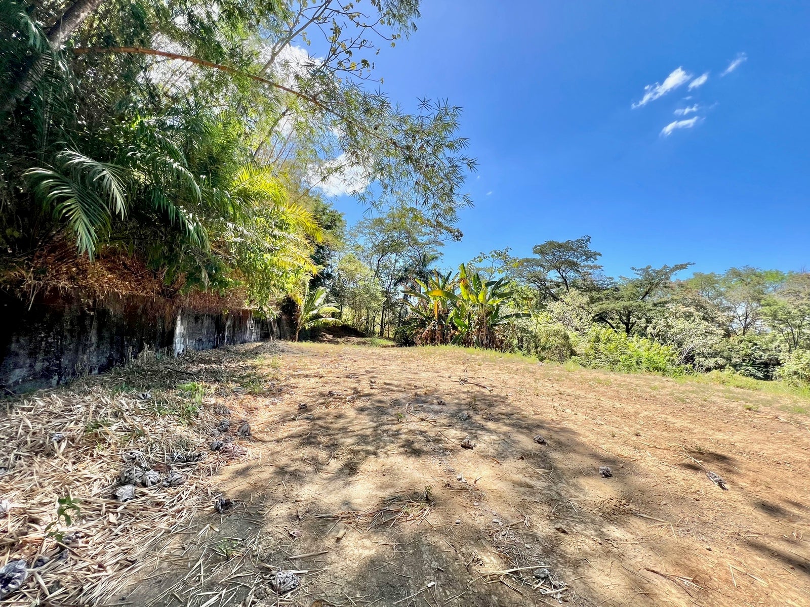 Prime Ocean View Lot in North Santa Teresa — photo 5 of 10