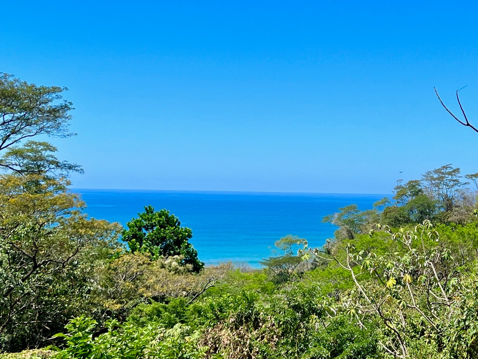 Prime Ocean View Lot in North Santa Teresa — photo 4 of 10