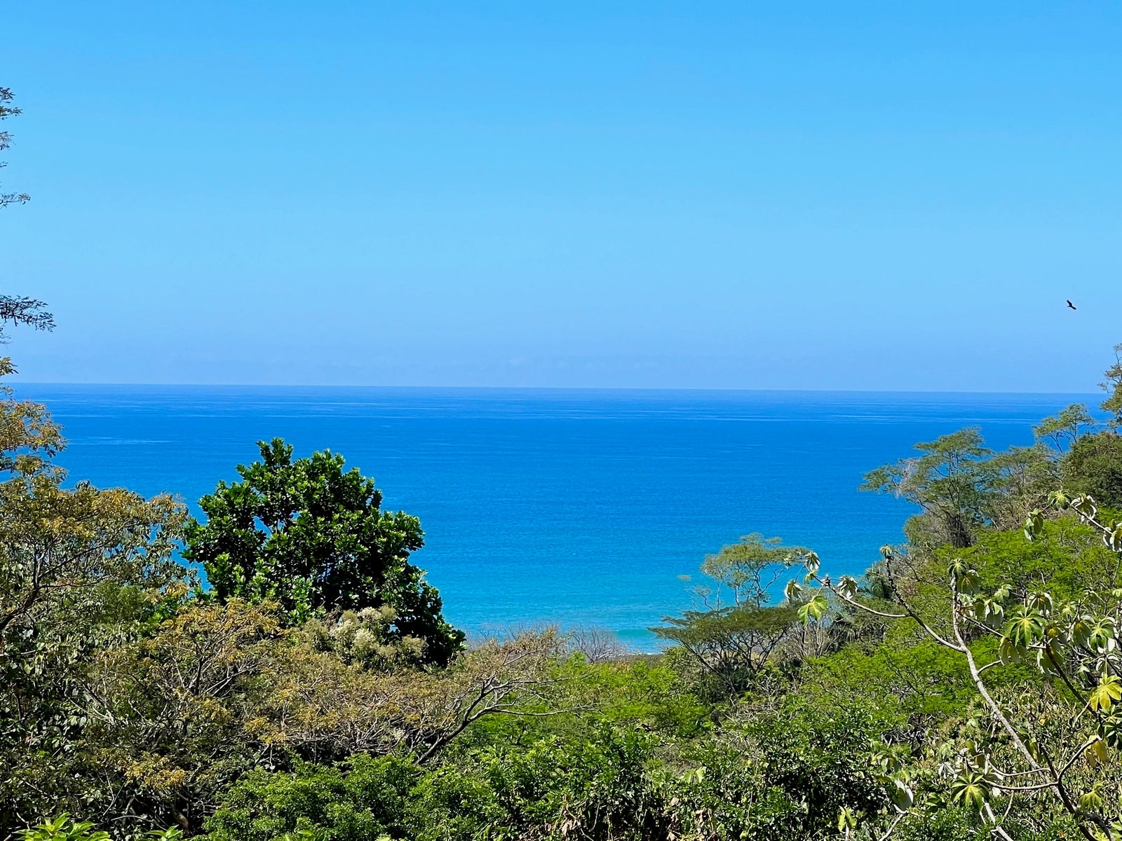 Prime Ocean View Lot in North Santa Teresa, Santa Teresa, Cobano, Puntarenas, Puntarenas, Costa Rica 60111