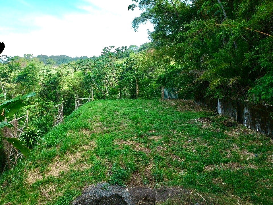 Prime Ocean View Lot in North Santa Teresa — photo 2 of 10