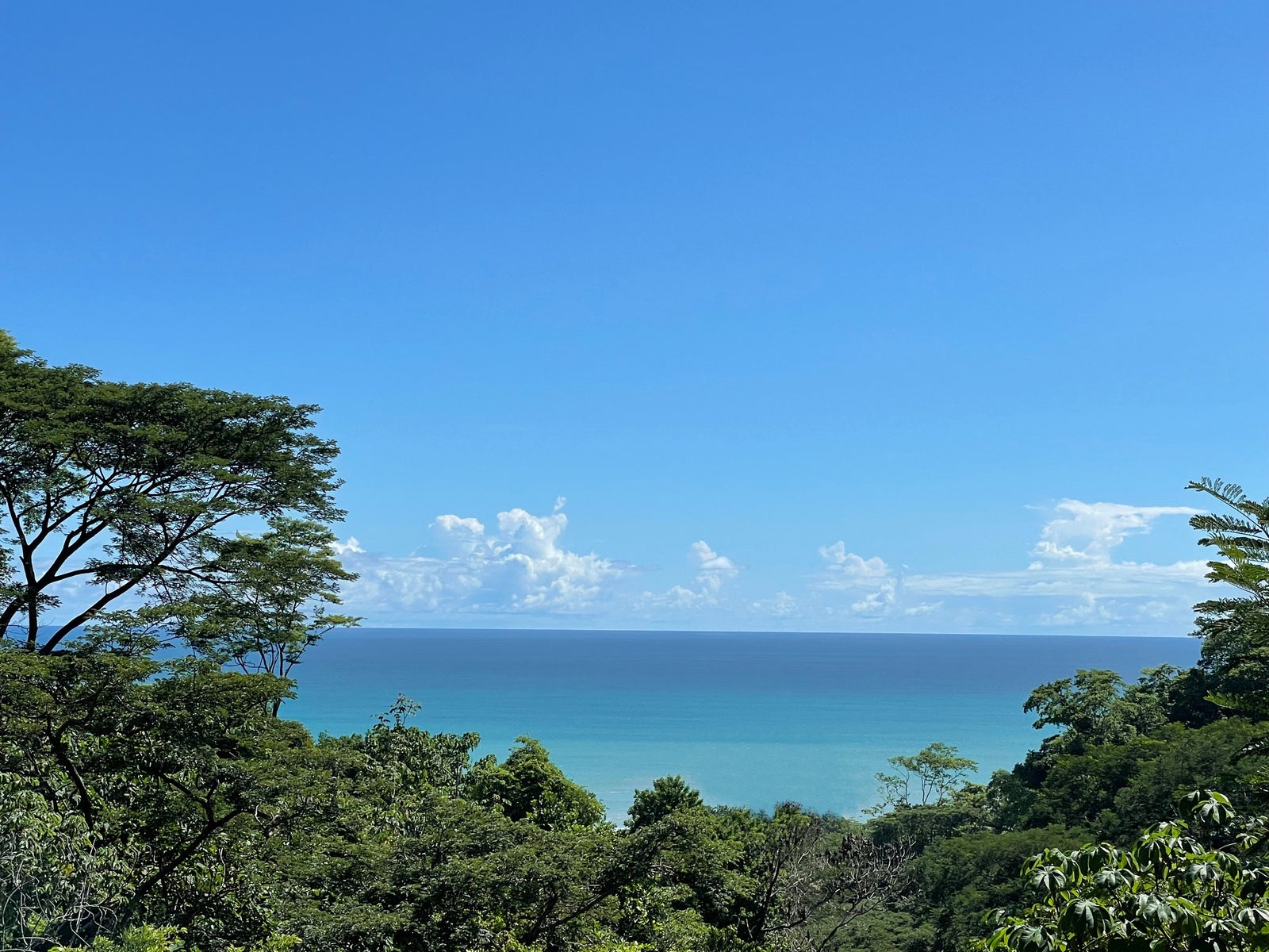 Prime Ocean View Lot in North Santa Teresa — photo 8 of 10