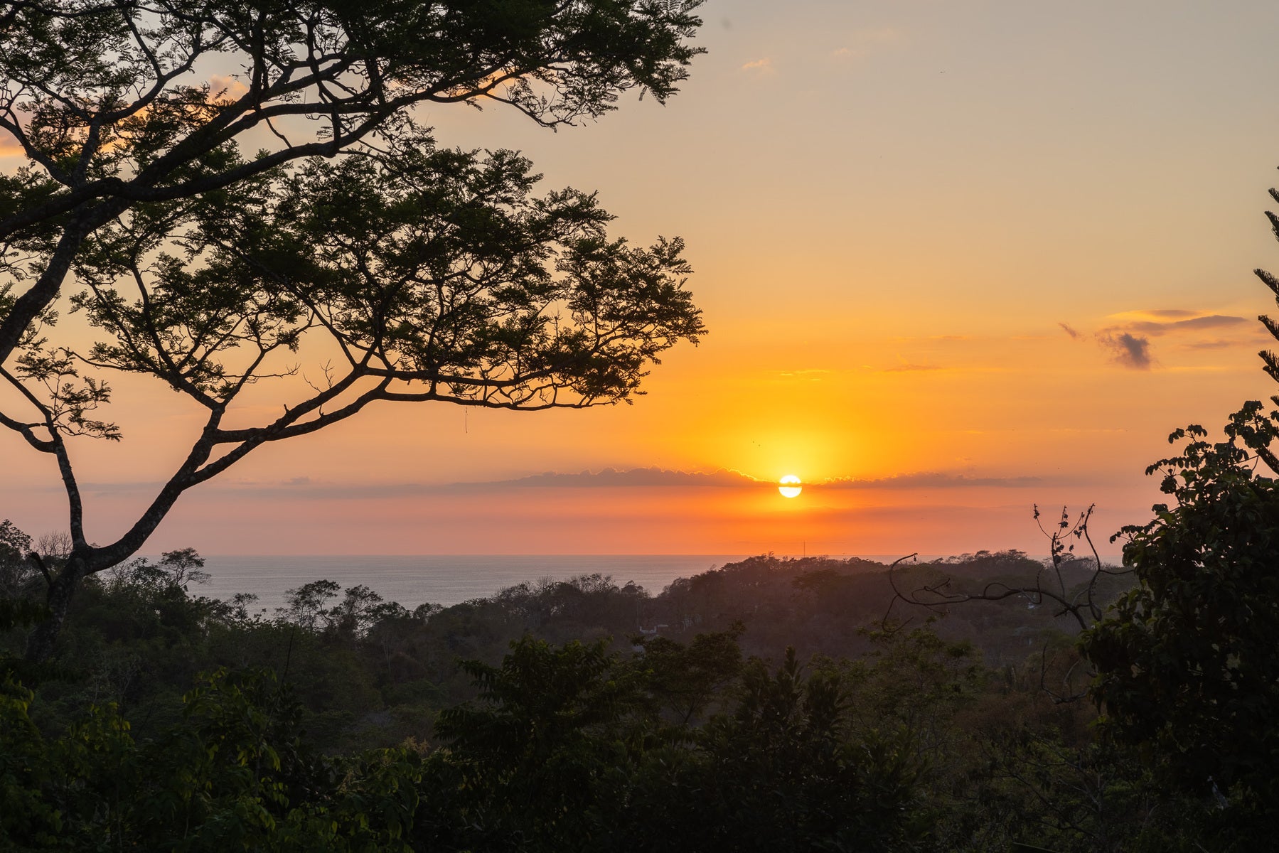 1.8 Hectares Ocean View Commercial Land near Hermosa, Santiago, Santa Teresa, Cobano, Puntarenas, Puntarenas, Costa Rica 60111