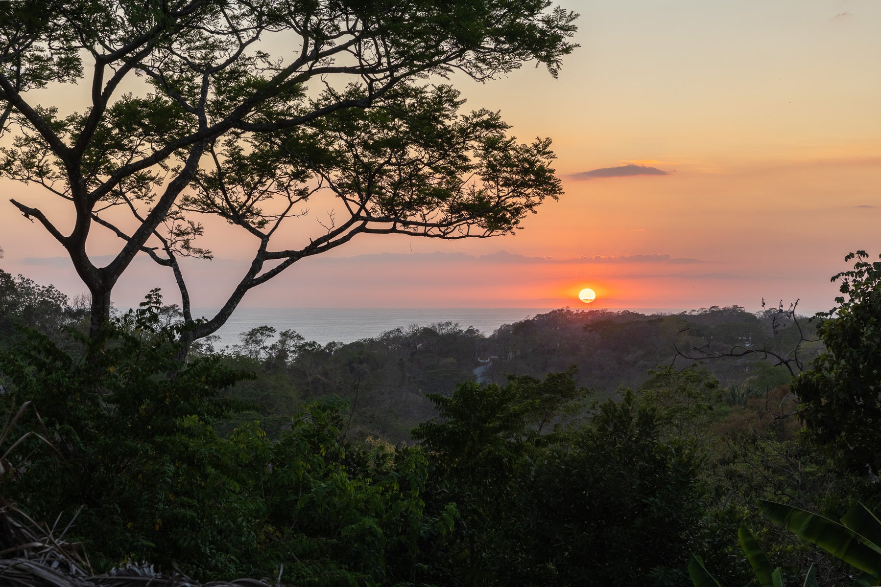 1.8 Hectares Ocean View Commercial Land near Hermosa, Santiago, Santiago, Santa Teresa, Cobano, Puntarenas, Puntarenas, Costa Rica 60111 1.8 Hectares Ocean View Commercial Land near Hermosa, Santiago, Santiago, Santa Teresa, Cobano, Puntarenas, Puntarenas, Costa Rica 60111