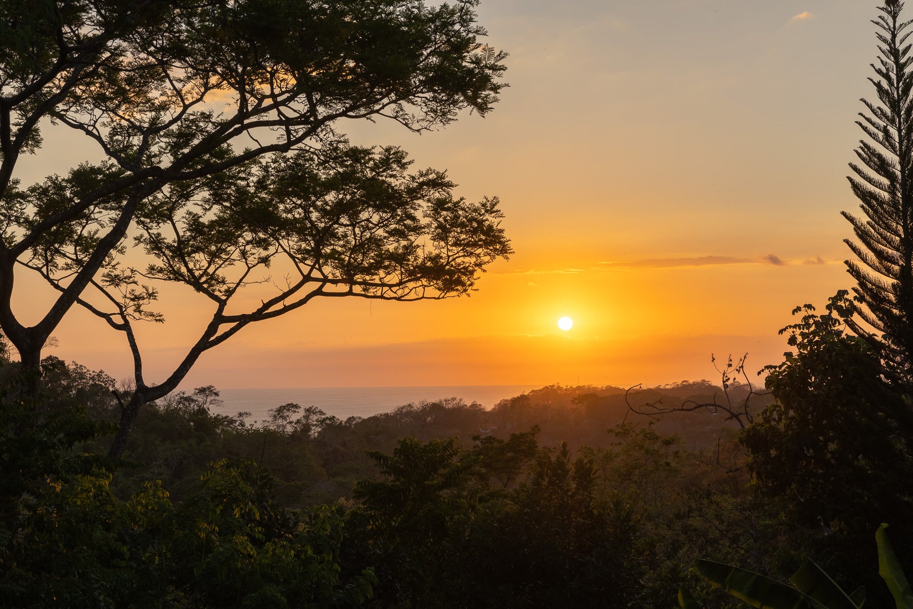 1.8 Hectares Ocean View Commercial Land near Hermosa, Santiago, Santiago, Santa Teresa, Cobano, Puntarenas, Puntarenas, Costa Rica 60111 1.8 Hectares Ocean View Commercial Land near Hermosa, Santiago, Santiago, Santa Teresa, Cobano, Puntarenas, Puntarenas, Costa Rica 60111