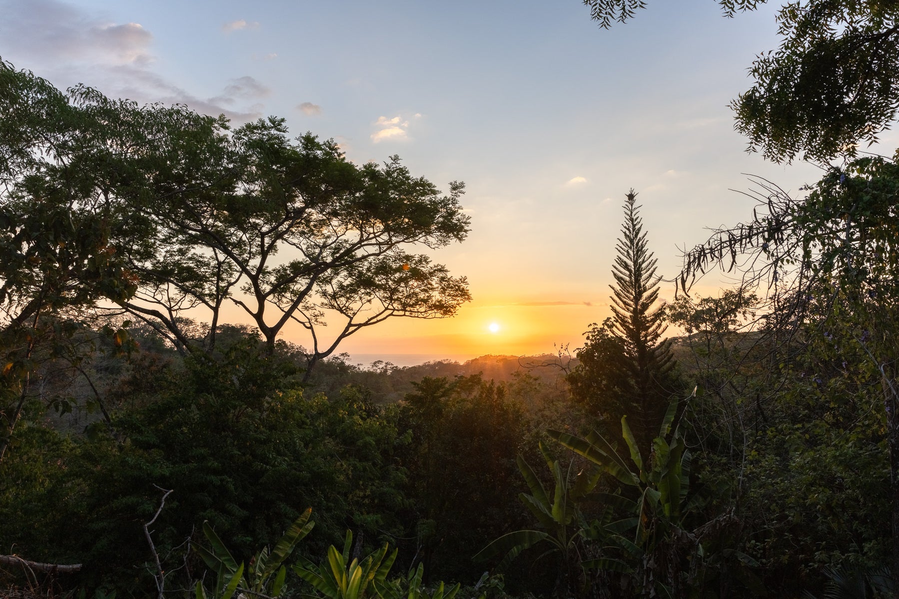 1.8 Hectares Ocean View Commercial Land near Hermosa — photo 2 of 19