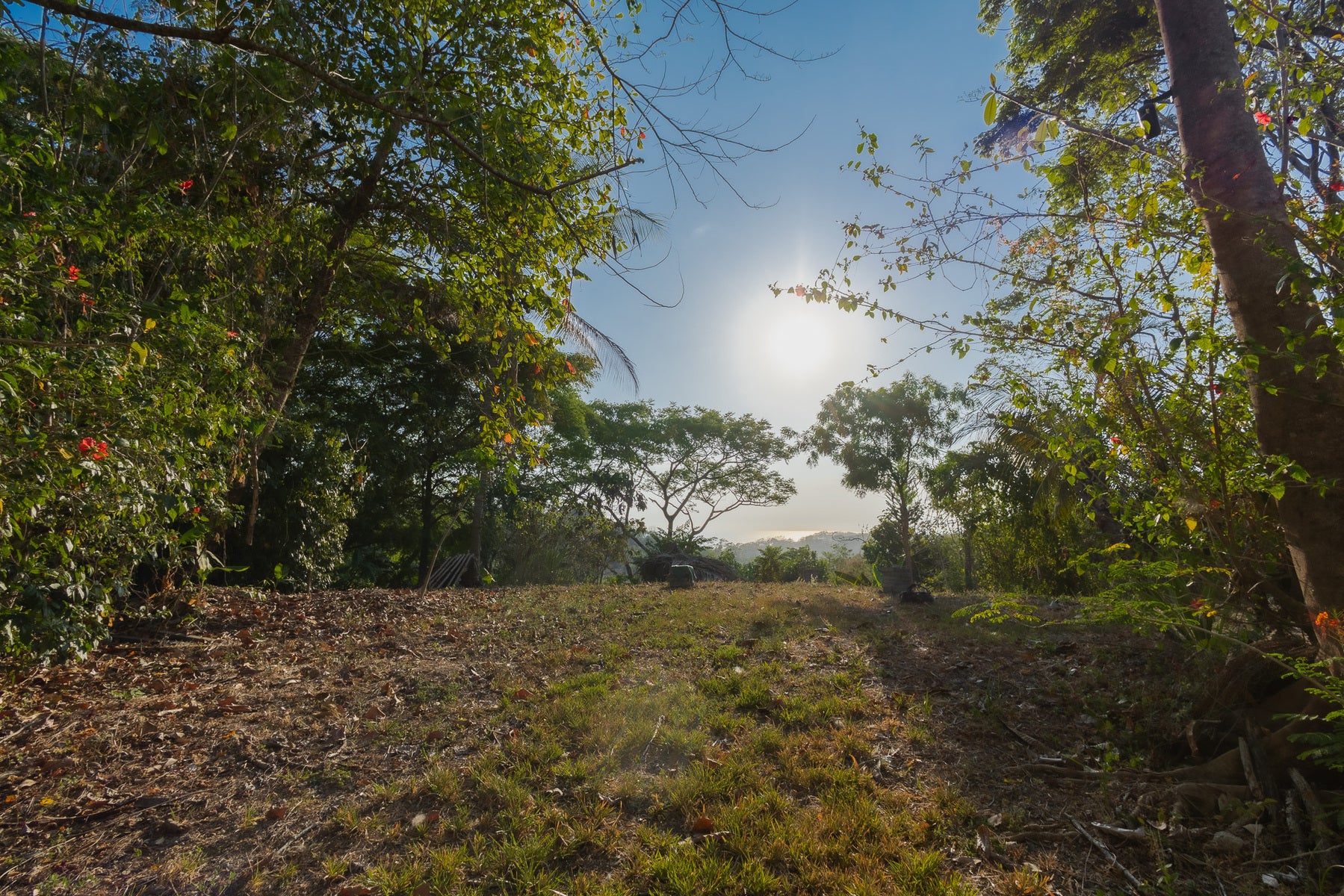 1.8 Hectares Ocean View Commercial Land near Hermosa — photo 4 of 19