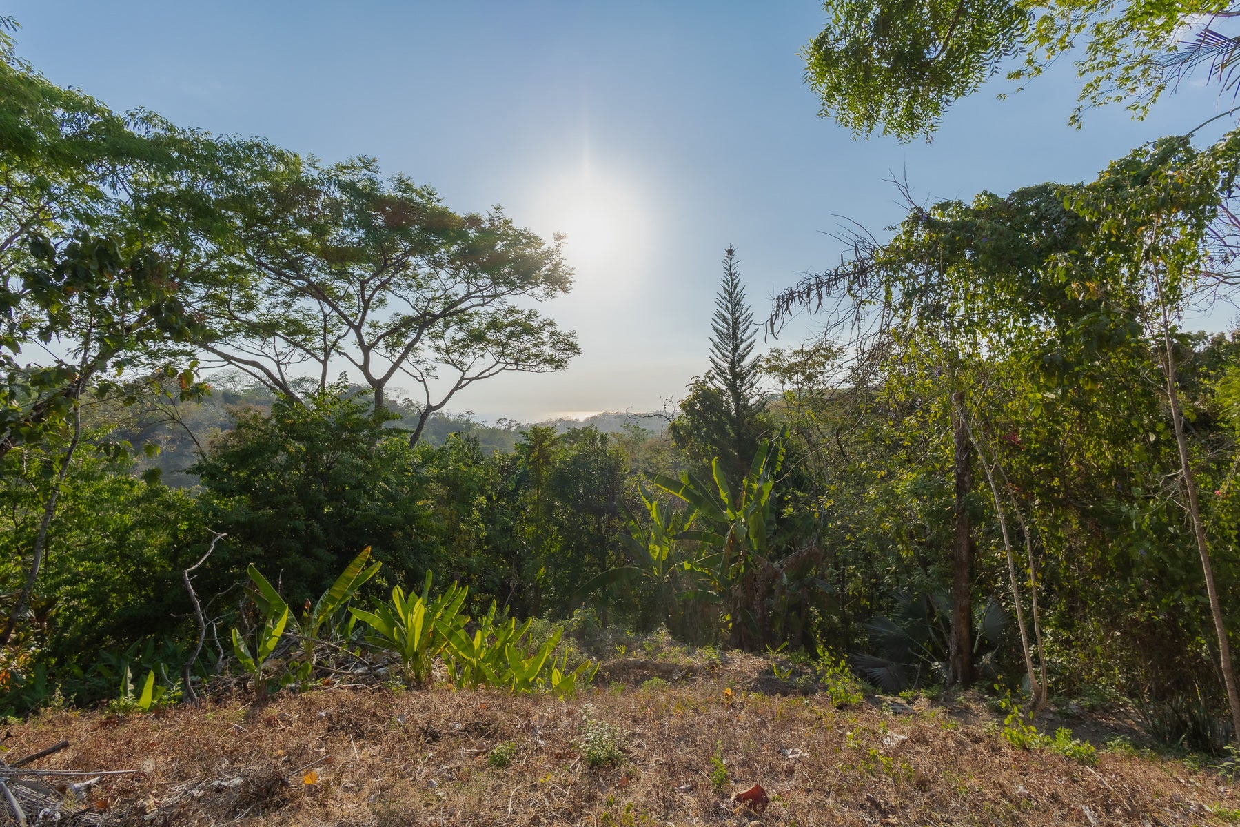 1.8 Hectares Ocean View Commercial Land near Hermosa — photo 5 of 19