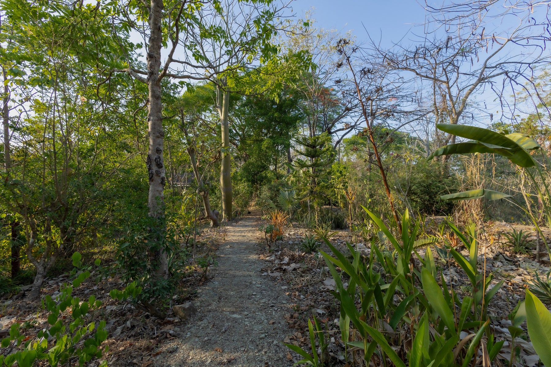 1.8 Hectares Ocean View Commercial Land near Hermosa — photo 7 of 19