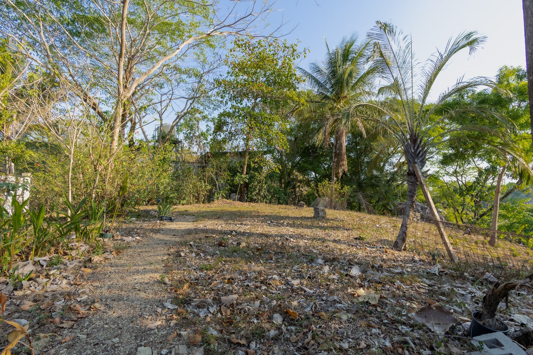 1.8 Hectares Ocean View Commercial Land near Hermosa — photo 8 of 19