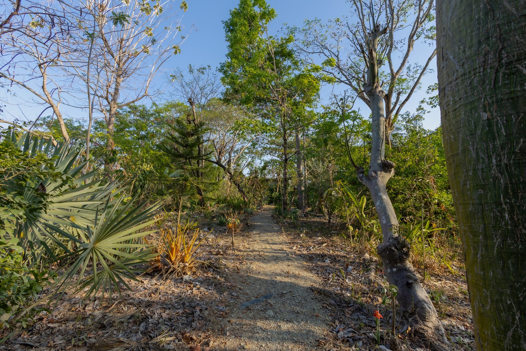 1.8 Hectares Ocean View Commercial Land near Hermosa — photo 9 of 19