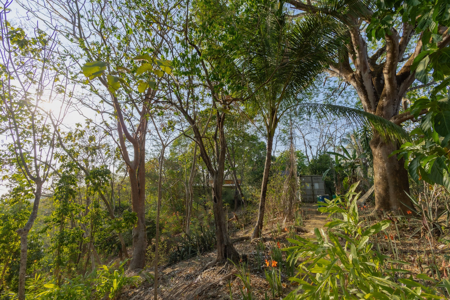1.8 Hectares Ocean View Commercial Land near Hermosa — photo 10 of 19