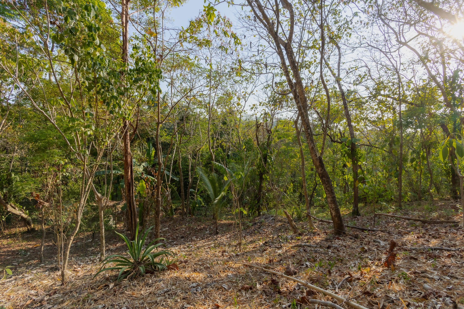 1.8 Hectares Ocean View Commercial Land near Hermosa — photo 13 of 19