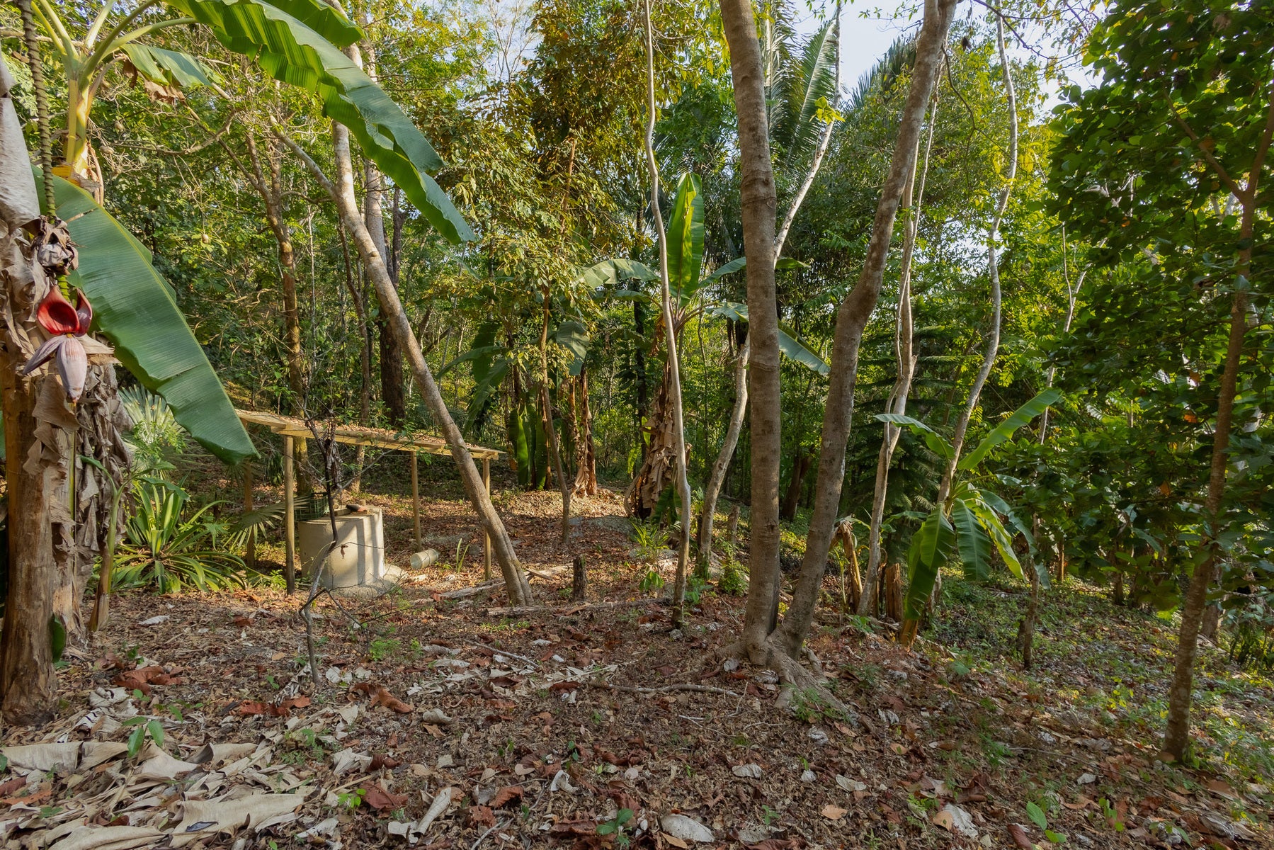 1.8 Hectares Ocean View Commercial Land near Hermosa — photo 14 of 19