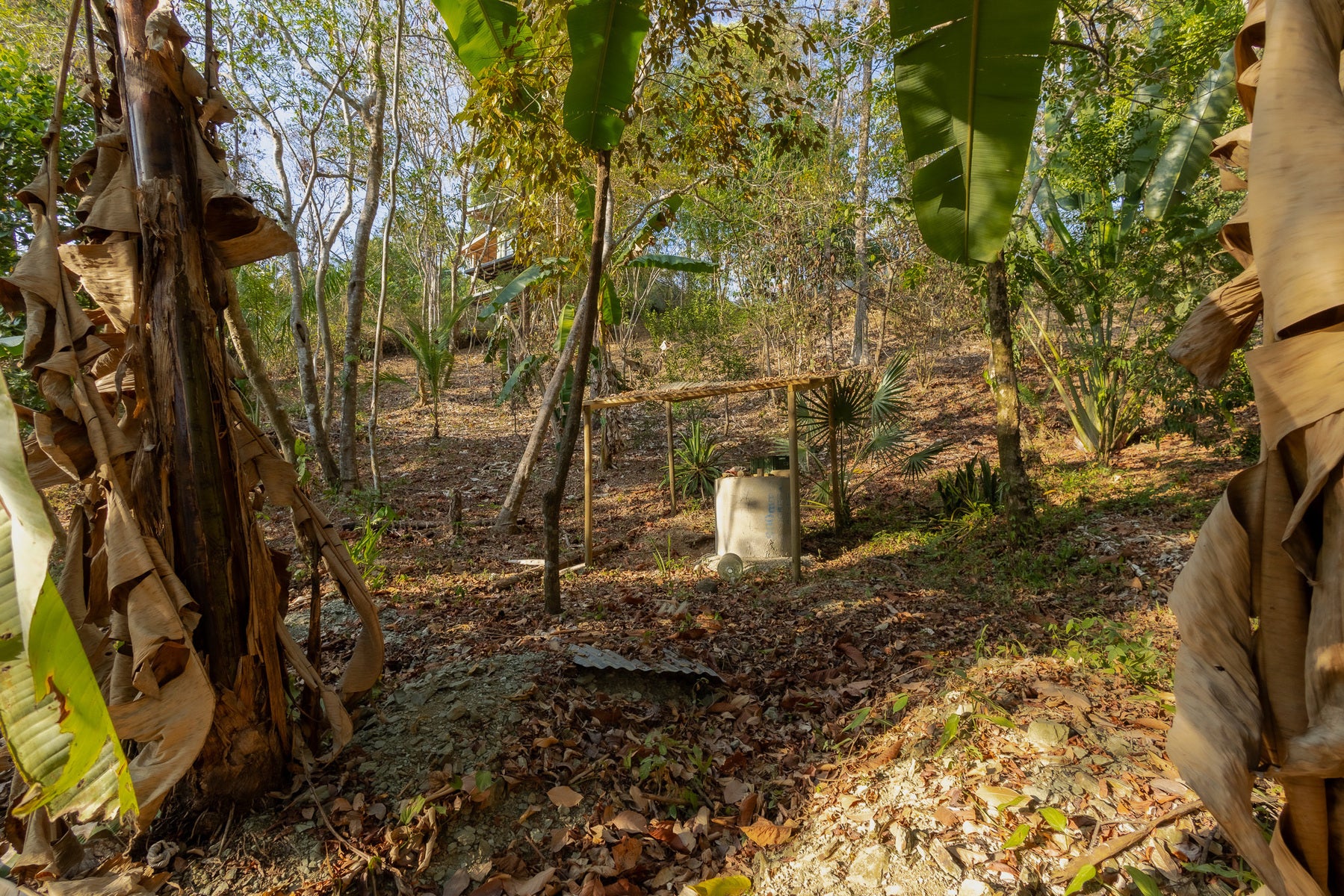 1.8 Hectares Ocean View Commercial Land near Hermosa — photo 17 of 19