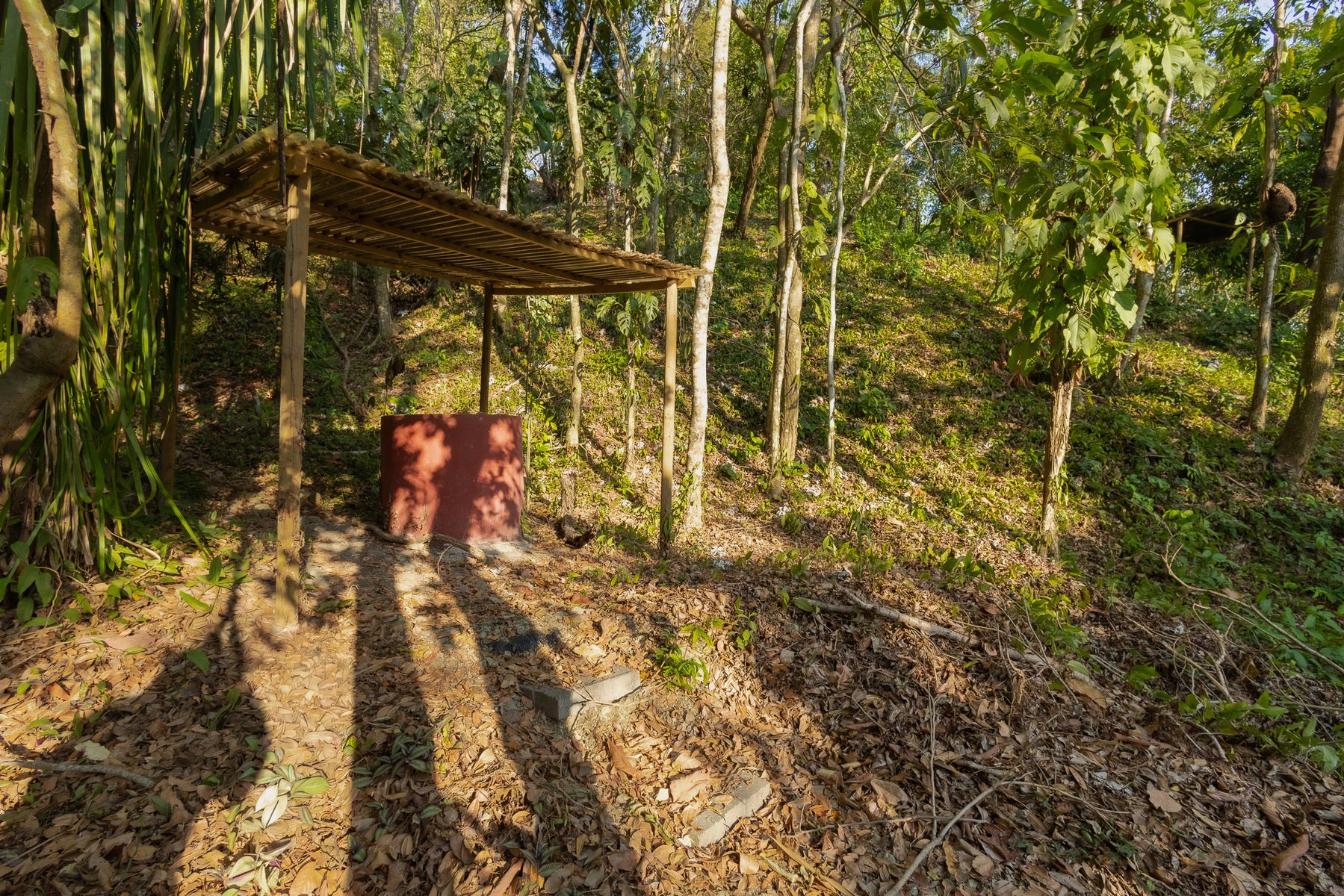 1.8 Hectares Ocean View Commercial Land near Hermosa — photo 18 of 19