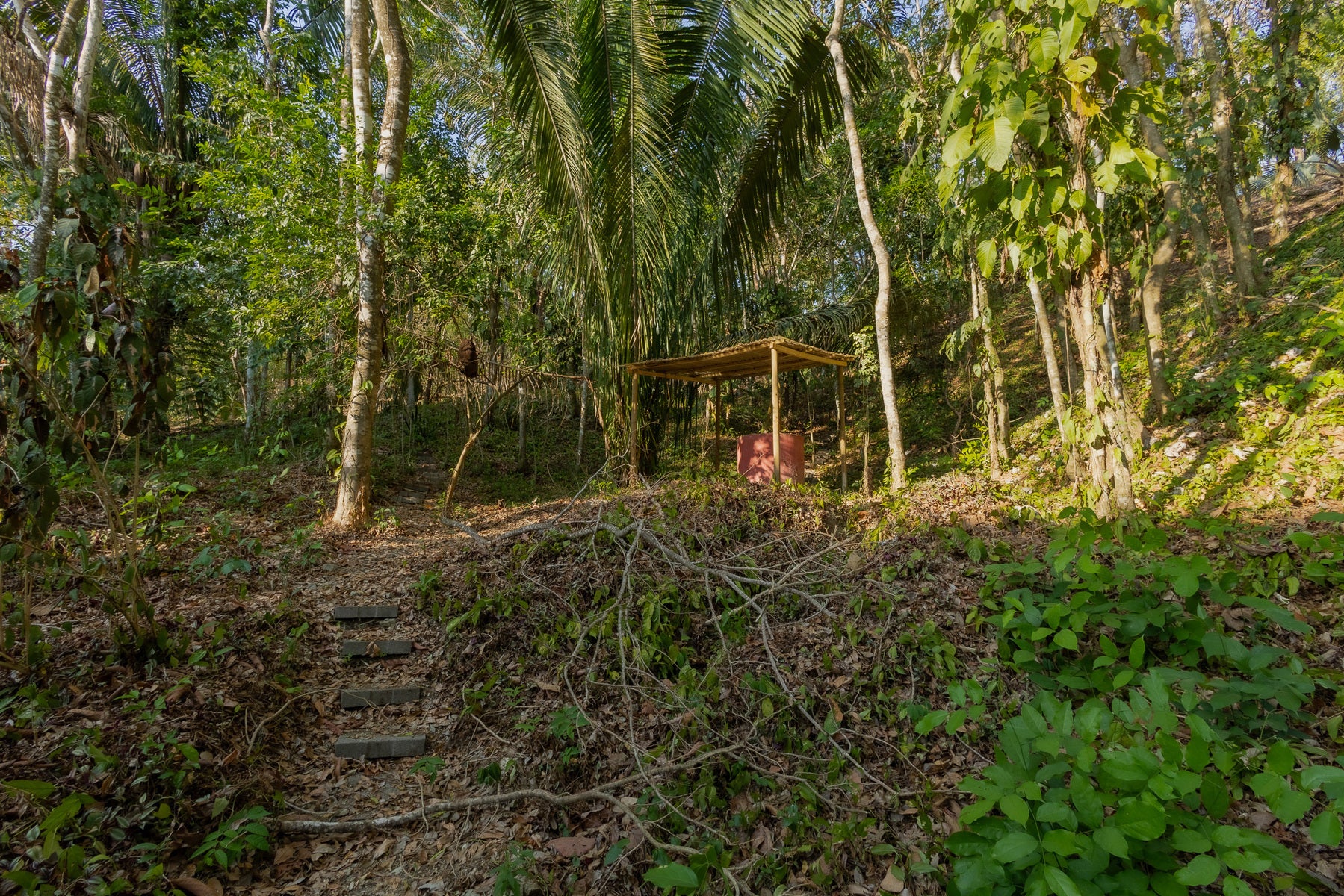1.8 Hectares Ocean View Commercial Land near Hermosa — photo 19 of 19