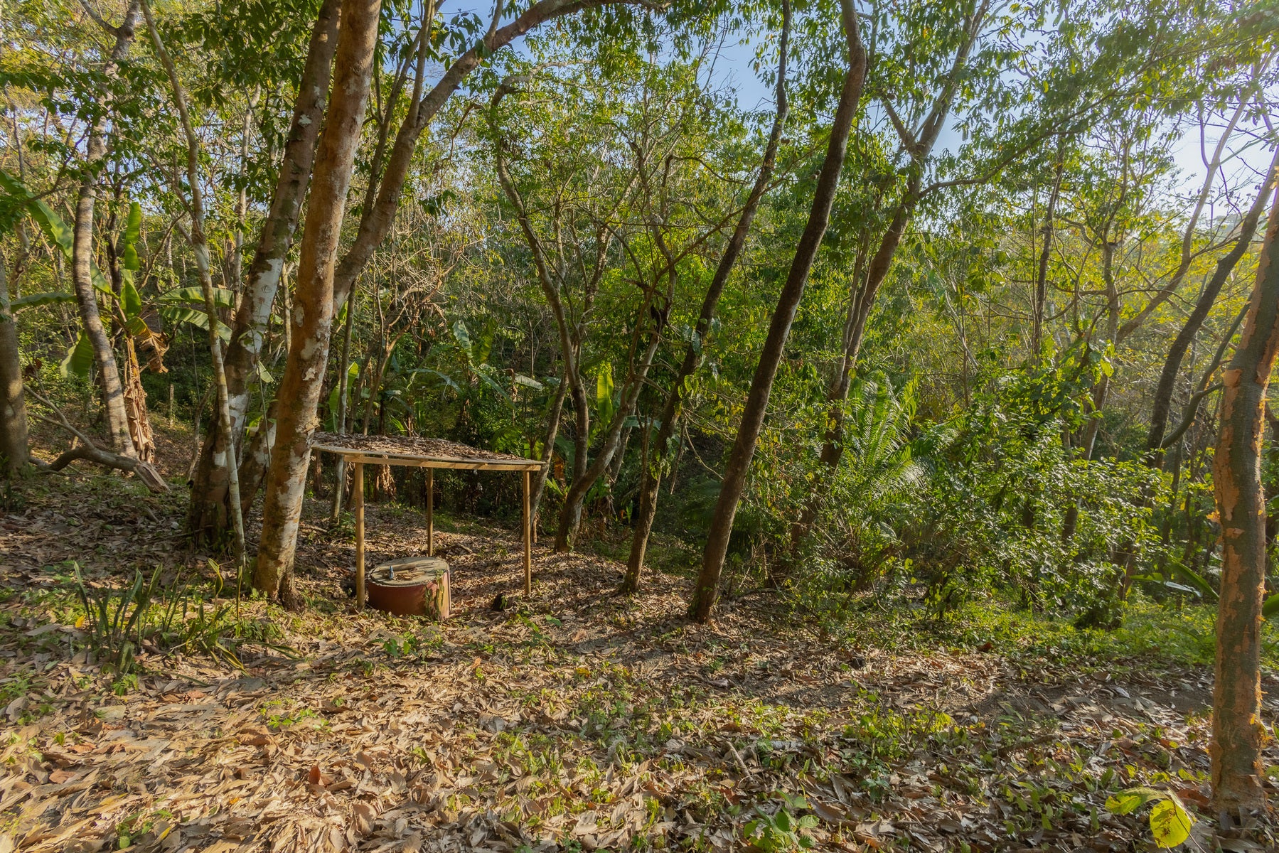 1.8 Hectares Ocean View Commercial Land near Hermosa, Santiago, Santiago, Santa Teresa, Cobano, Puntarenas, Puntarenas, Costa Rica 60111 1.8 Hectares Ocean View Commercial Land near Hermosa, Santiago, Santiago, Santa Teresa, Cobano, Puntarenas, Puntarenas, Costa Rica 60111