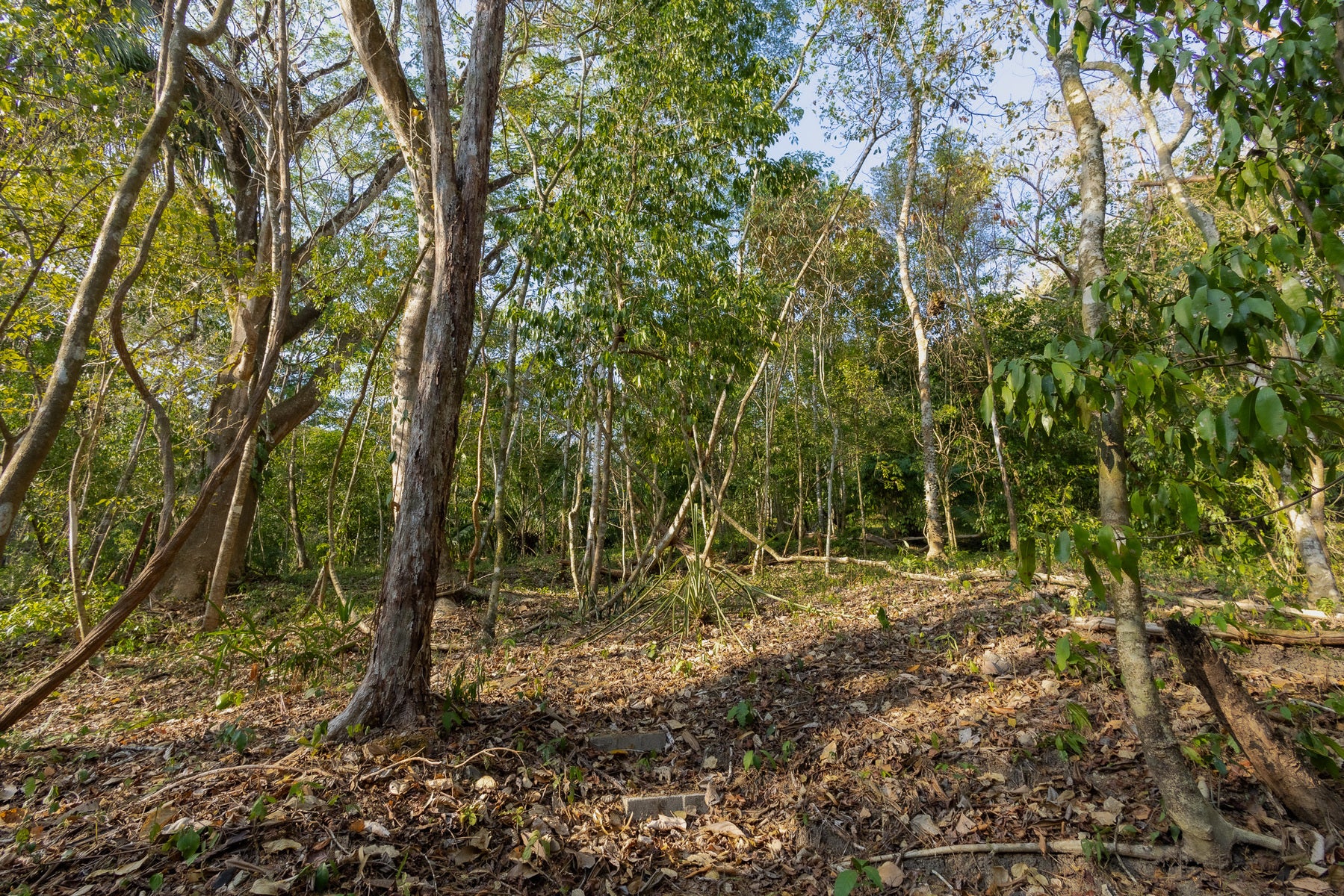 1.8 Hectares Ocean View Commercial Land near Hermosa, Santiago, Santiago, Santa Teresa, Cobano, Puntarenas, Puntarenas, Costa Rica 60111 1.8 Hectares Ocean View Commercial Land near Hermosa, Santiago, Santiago, Santa Teresa, Cobano, Puntarenas, Puntarenas, Costa Rica 60111