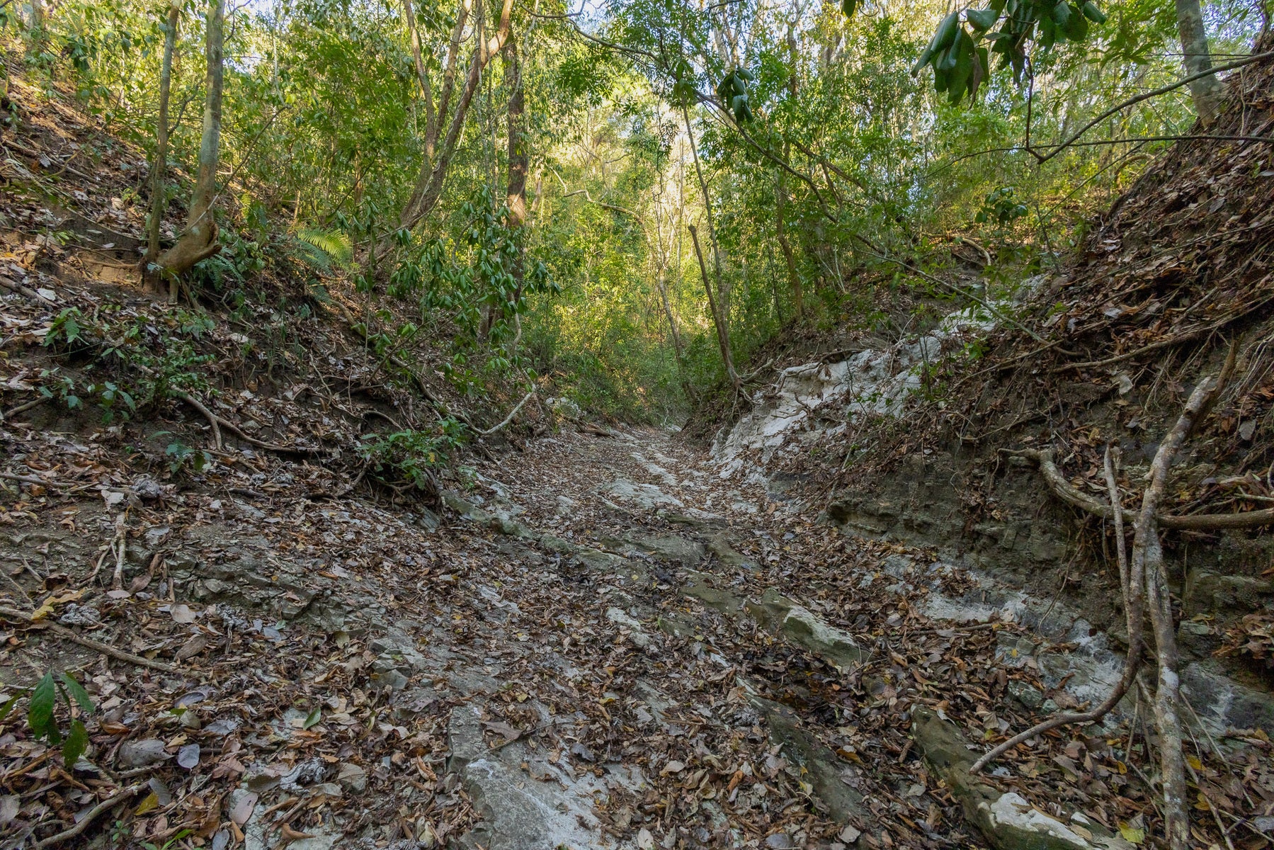 1.8 Hectares Ocean View Commercial Land near Hermosa, Santiago, Santiago, Santa Teresa, Cobano, Puntarenas, Puntarenas, Costa Rica 60111 1.8 Hectares Ocean View Commercial Land near Hermosa, Santiago, Santiago, Santa Teresa, Cobano, Puntarenas, Puntarenas, Costa Rica 60111