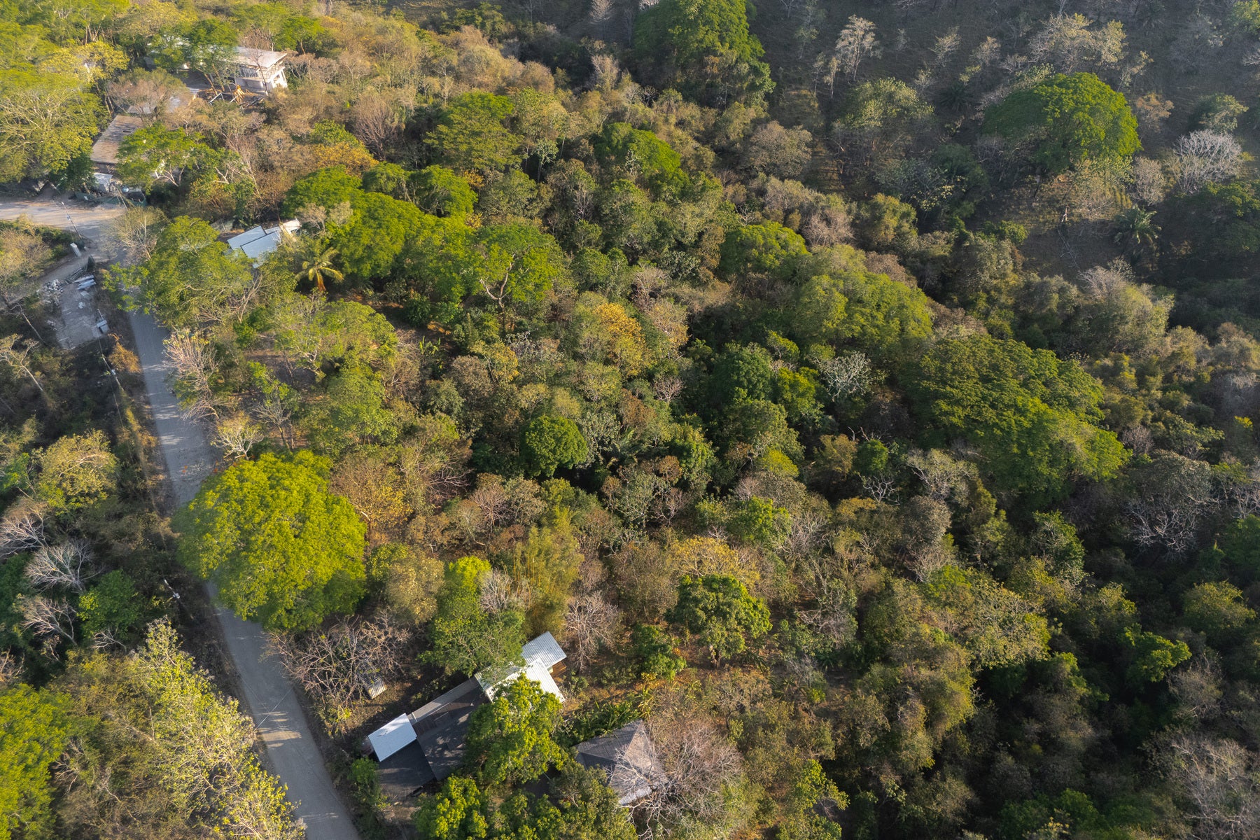 1.8 Hectares Ocean View Commercial Land near Hermosa, Santiago, Santiago, Santa Teresa, Cobano, Puntarenas, Puntarenas, Costa Rica 60111 1.8 Hectares Ocean View Commercial Land near Hermosa, Santiago, Santiago, Santa Teresa, Cobano, Puntarenas, Puntarenas, Costa Rica 60111