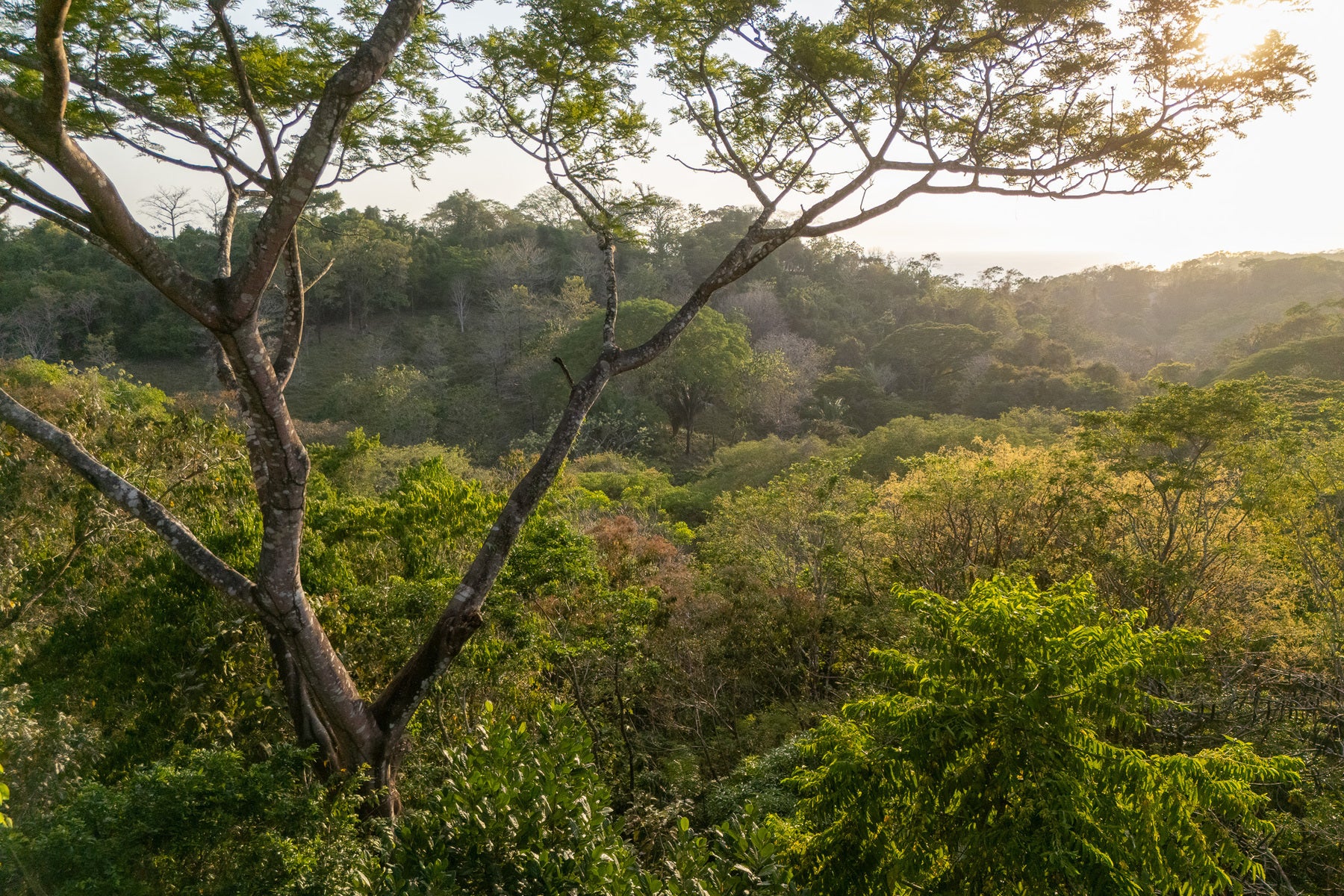 1.8 Hectares Ocean View Commercial Land near Hermosa, Santiago, Santiago, Santa Teresa, Cobano, Puntarenas, Puntarenas, Costa Rica 60111 1.8 Hectares Ocean View Commercial Land near Hermosa, Santiago, Santiago, Santa Teresa, Cobano, Puntarenas, Puntarenas, Costa Rica 60111