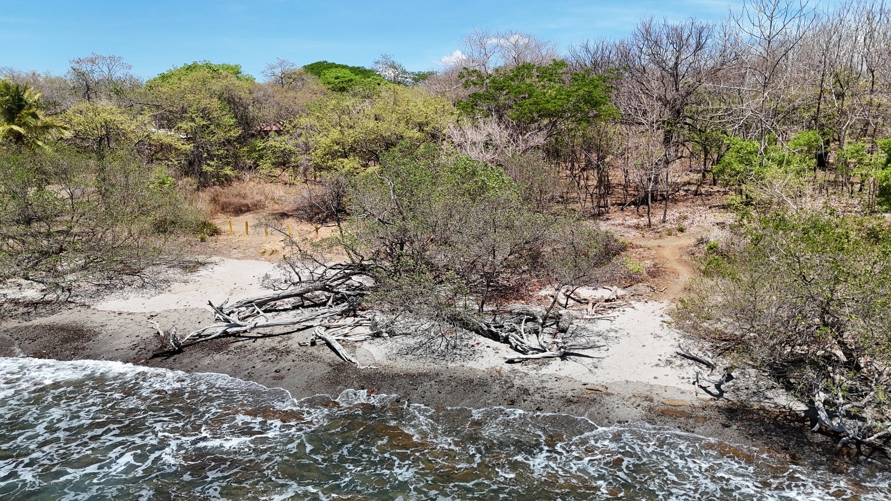 Beachfront Lots in Playa Avellanas — photo 7 of 11