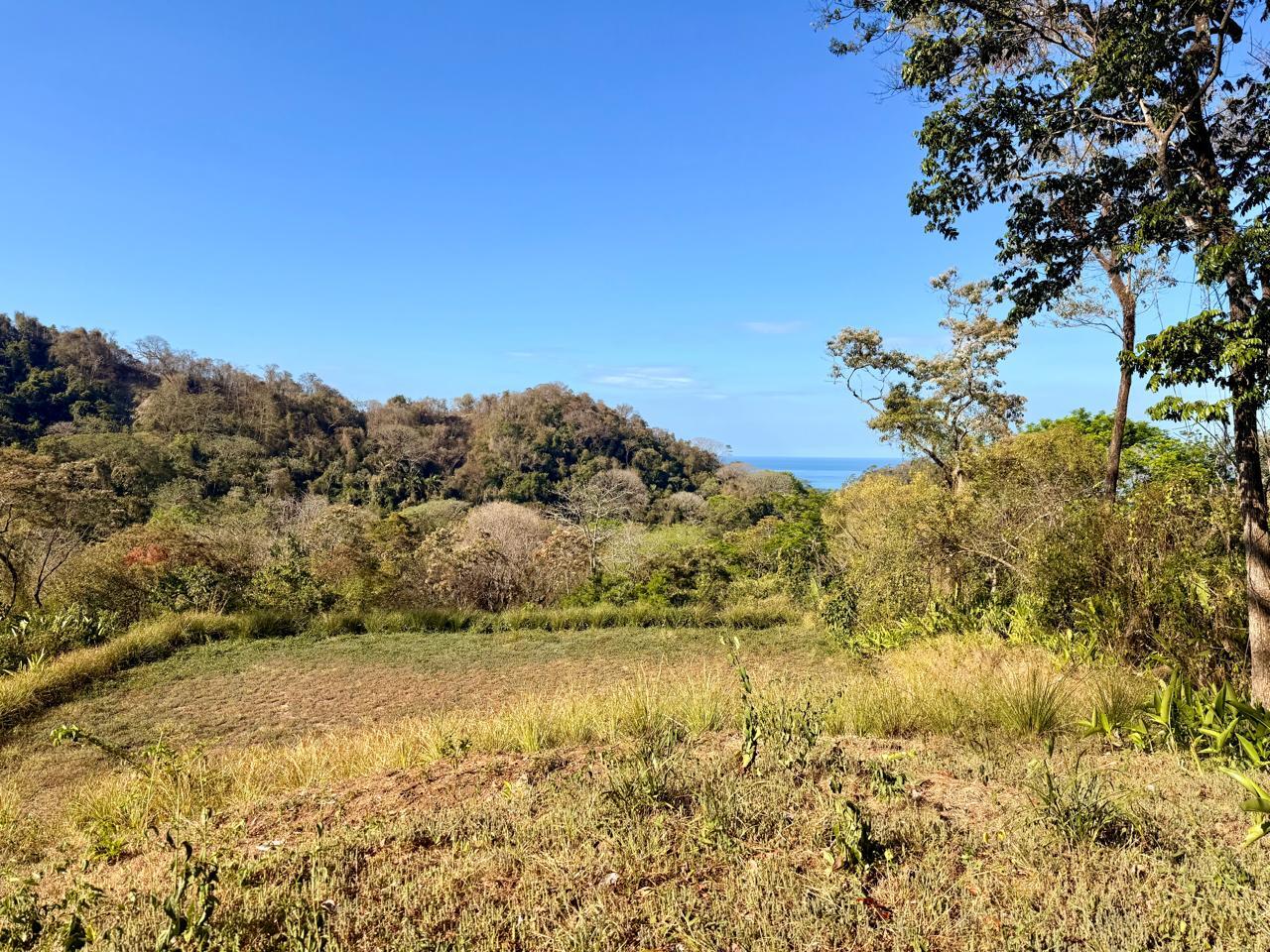 Large Ocean View Lot in Gated Community Hacienda Okhra — photo 5 of 8