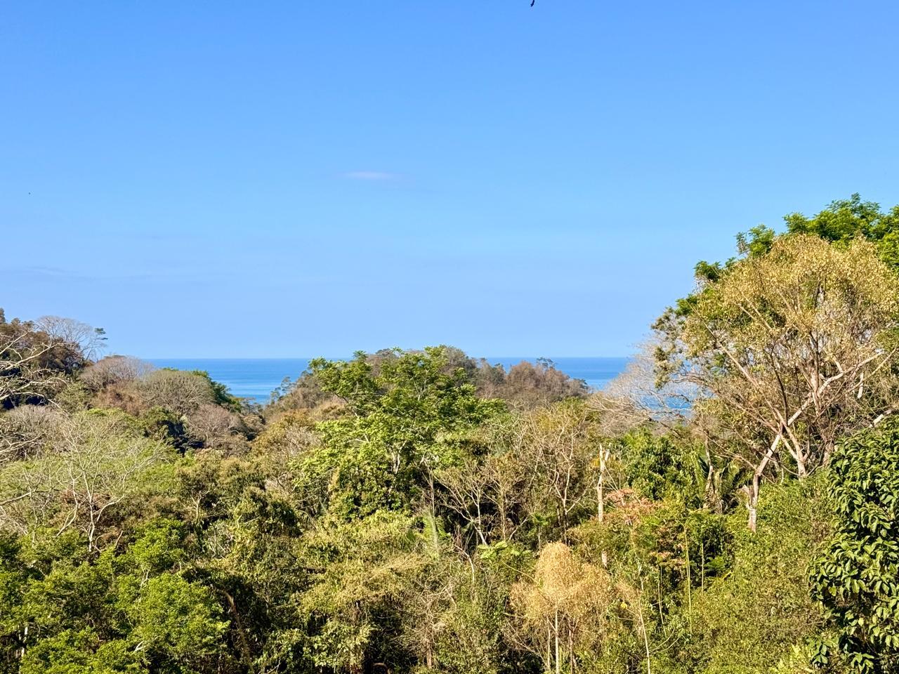 Large Ocean View Lot in Gated Community Hacienda Okhra — photo 6 of 8