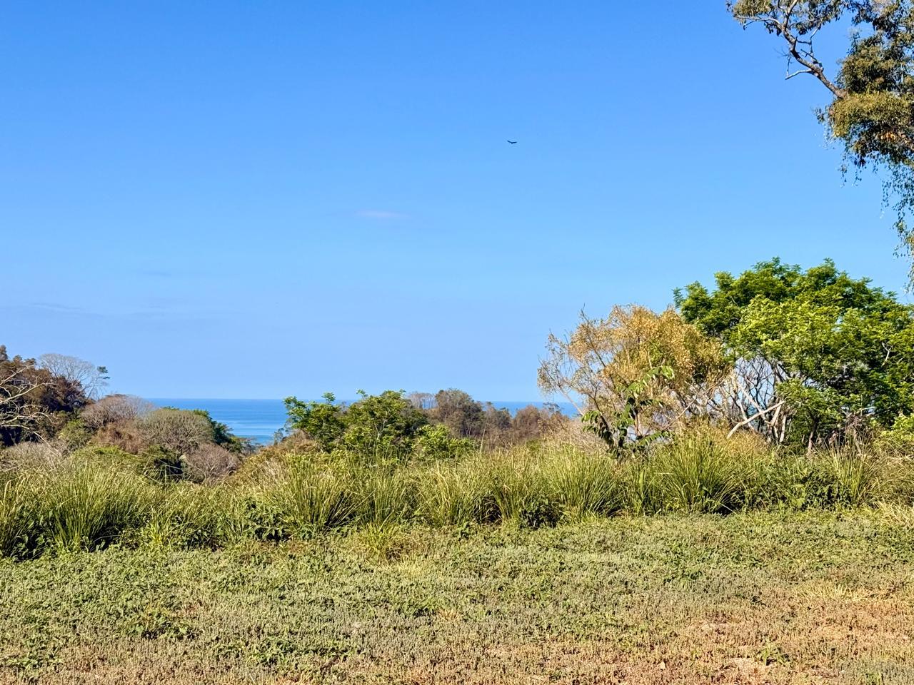 Large Ocean View Lot in Gated Community Hacienda Okhra — photo 7 of 8