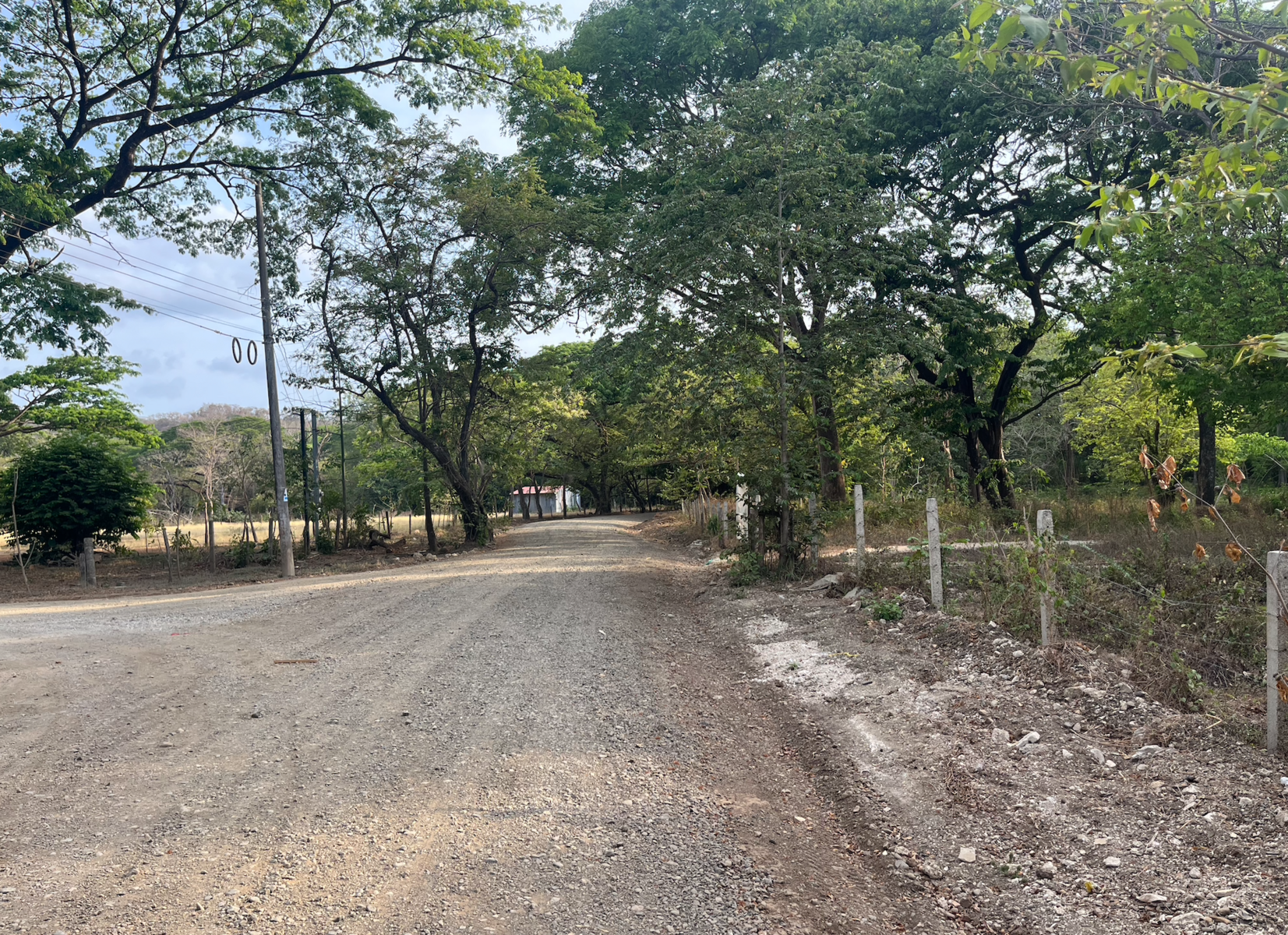 Nosara Del Mar  Nosara del Mar Academy, Nosara, 11670, Nicoya, Guanacaste, Costa Rica 50206 — photo 5 of 5