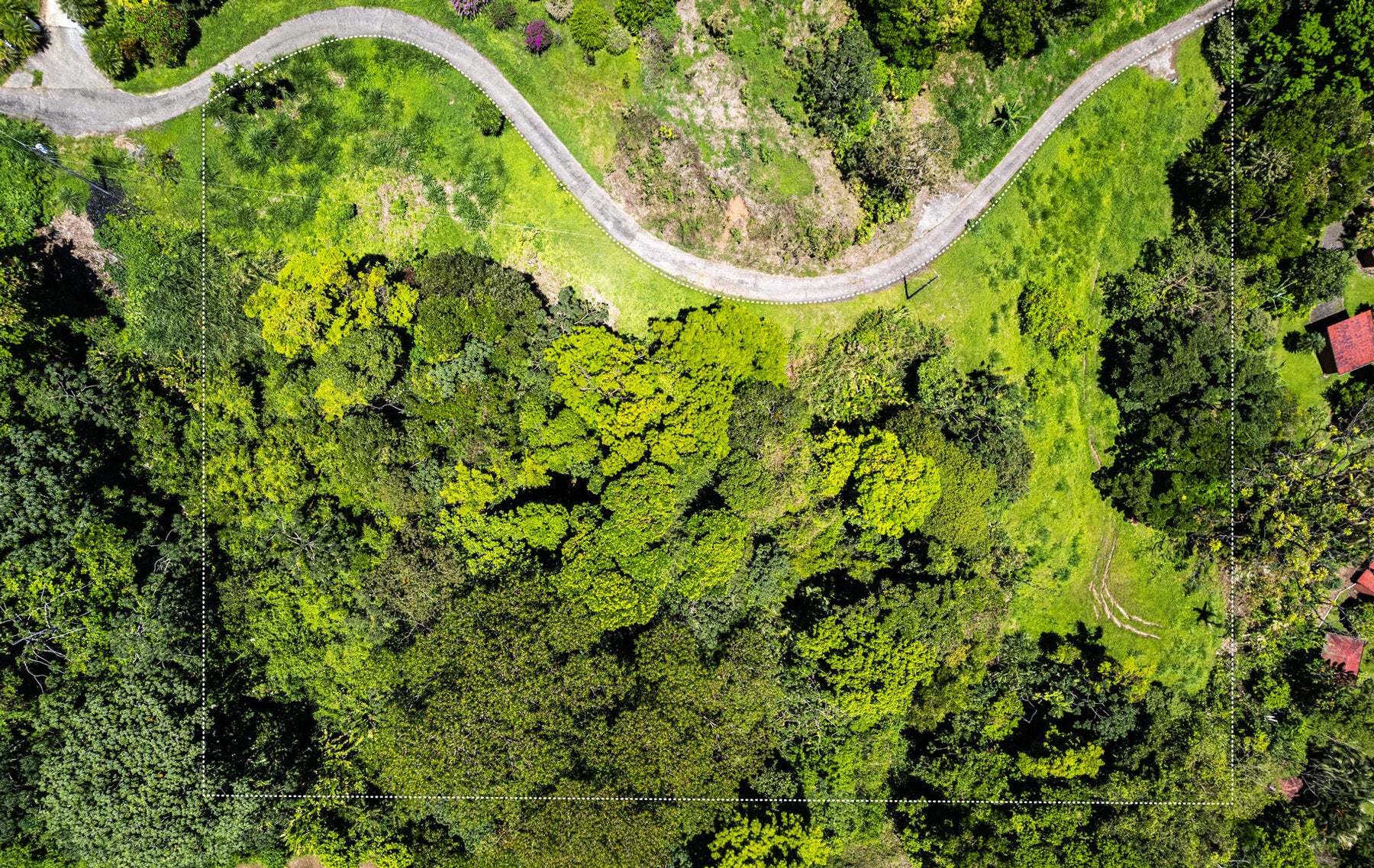 Centrally Located Lake View Lot — foto 19 de 19