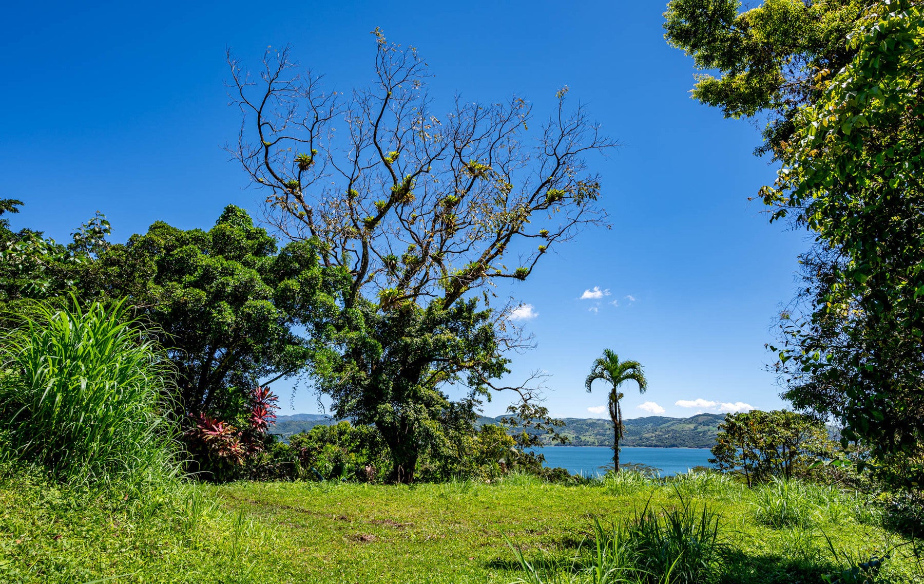 Centrally Located Lake View Lot, Nuevo Arenal, Lake Arenal, Arenal, Tilaran, Alajuela, Costa Rica 50807 — photo 4 of 5