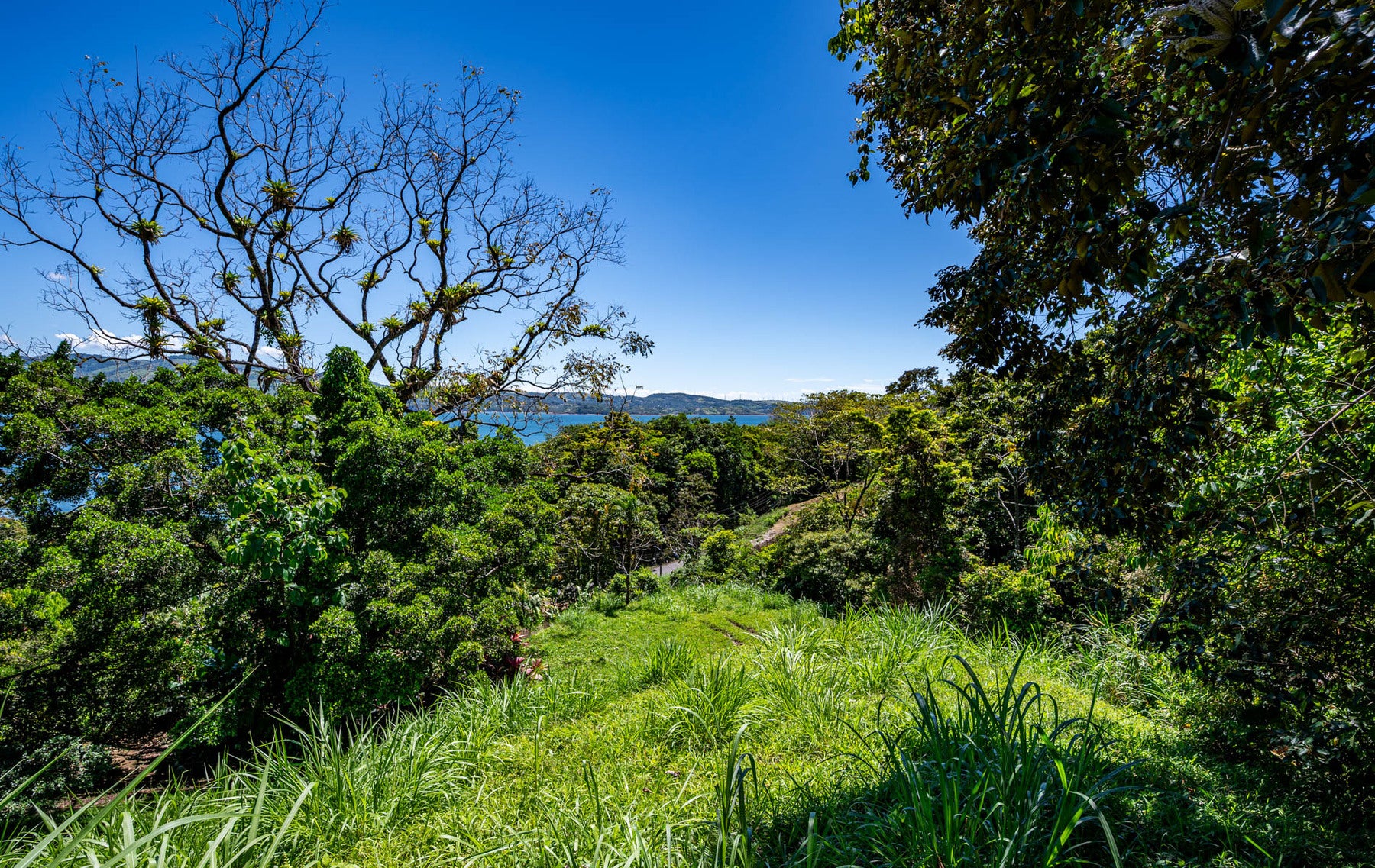 Centrally Located Lake View Lot — foto 6 de 19