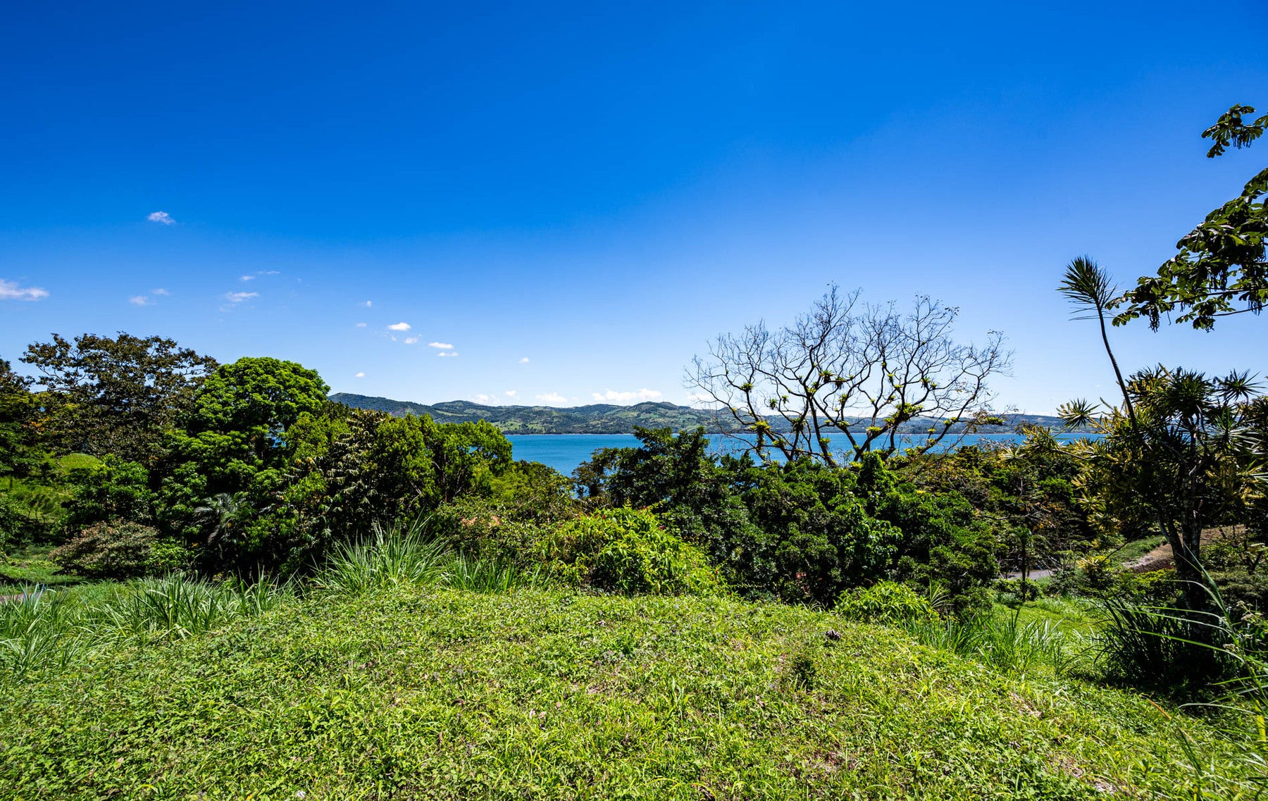 Centrally Located Lake View Lot — foto 7 de 19
