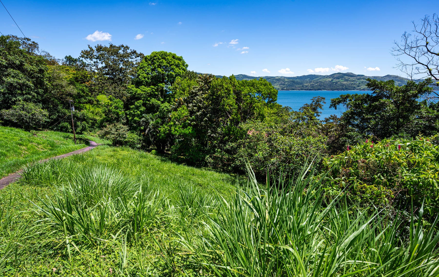 Centrally Located Lake View Lot — foto 8 de 19