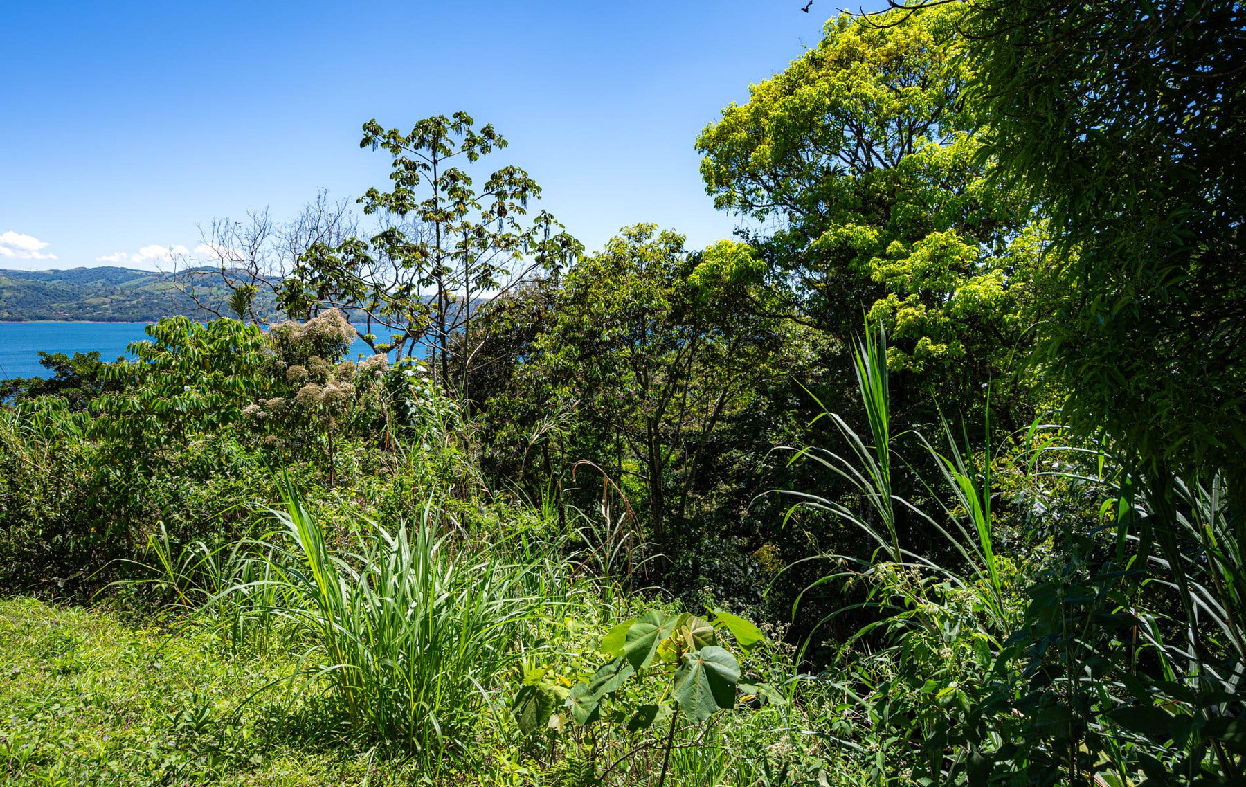 Centrally Located Lake View Lot — foto 10 de 19