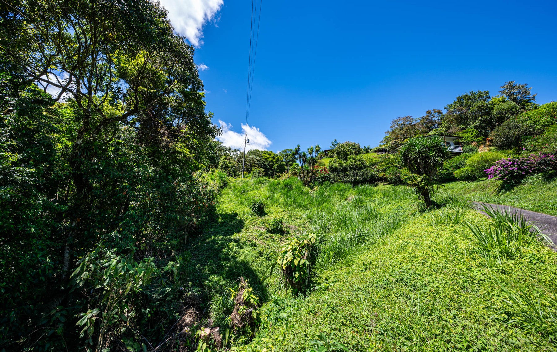 Centrally Located Lake View Lot — foto 11 de 19