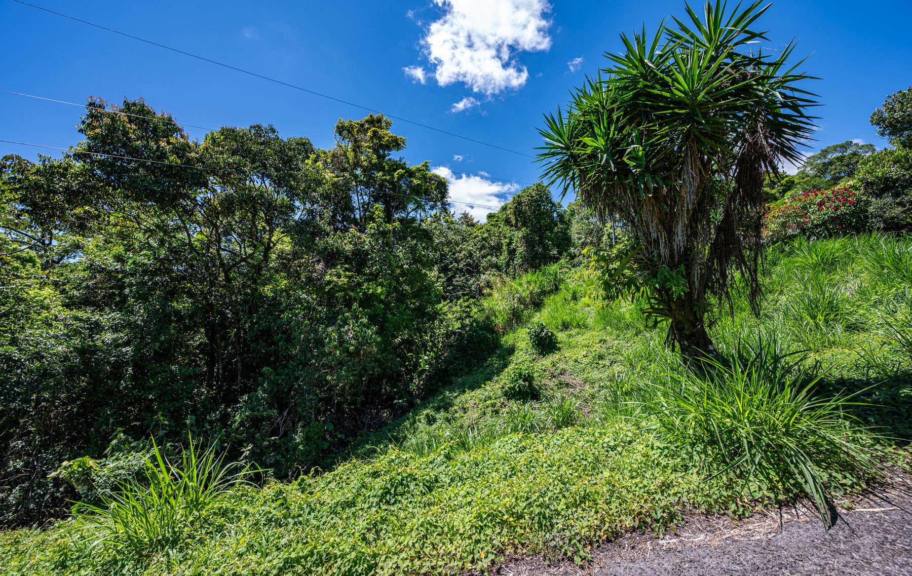 Centrally Located Lake View Lot — foto 12 de 19