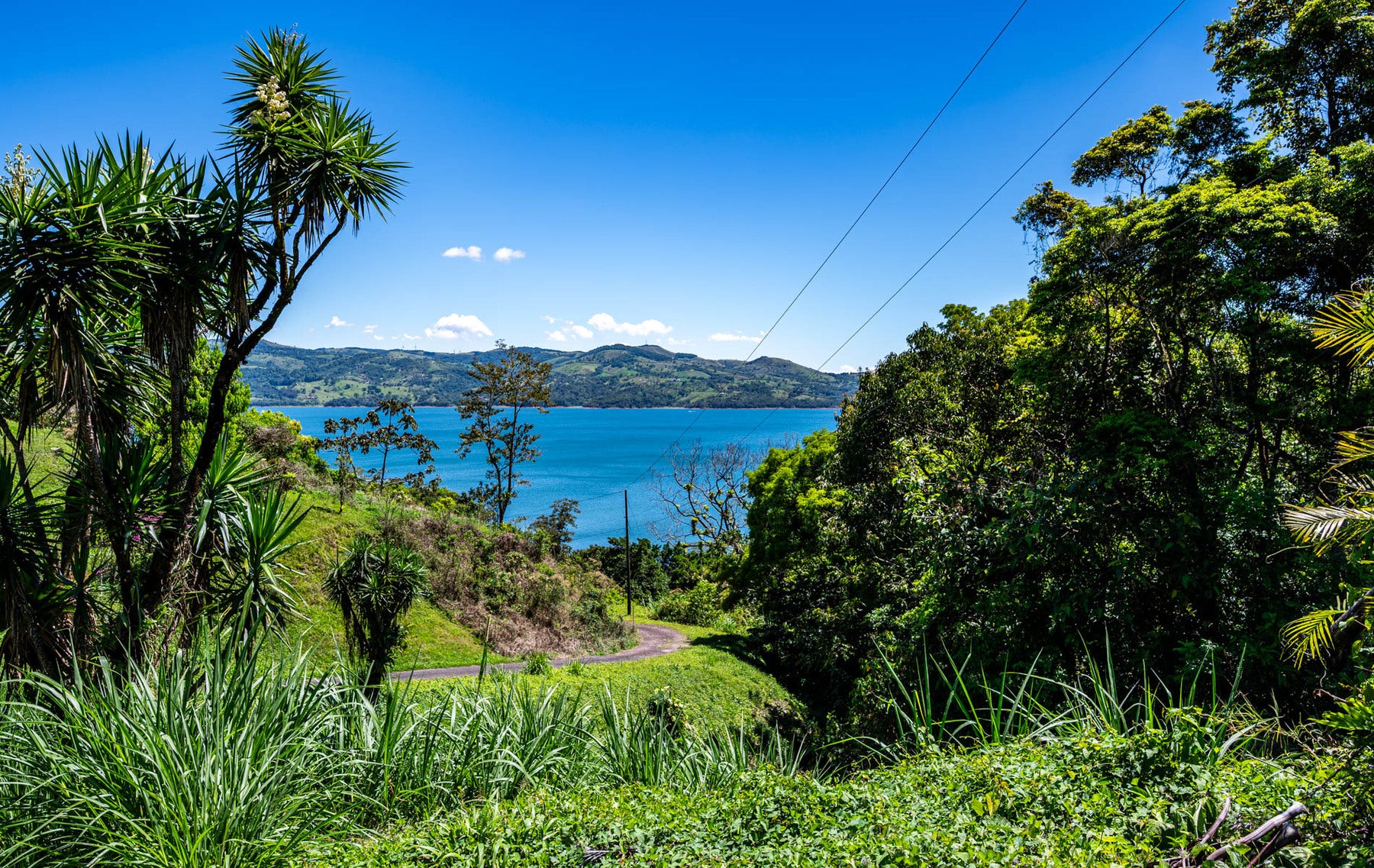 Centrally Located Lake View Lot — foto 13 de 19