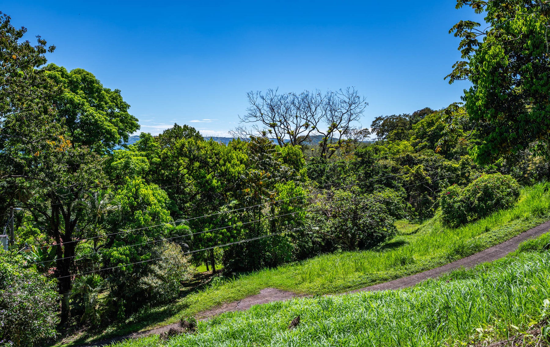 Centrally Located Lake View Lot — foto 14 de 19
