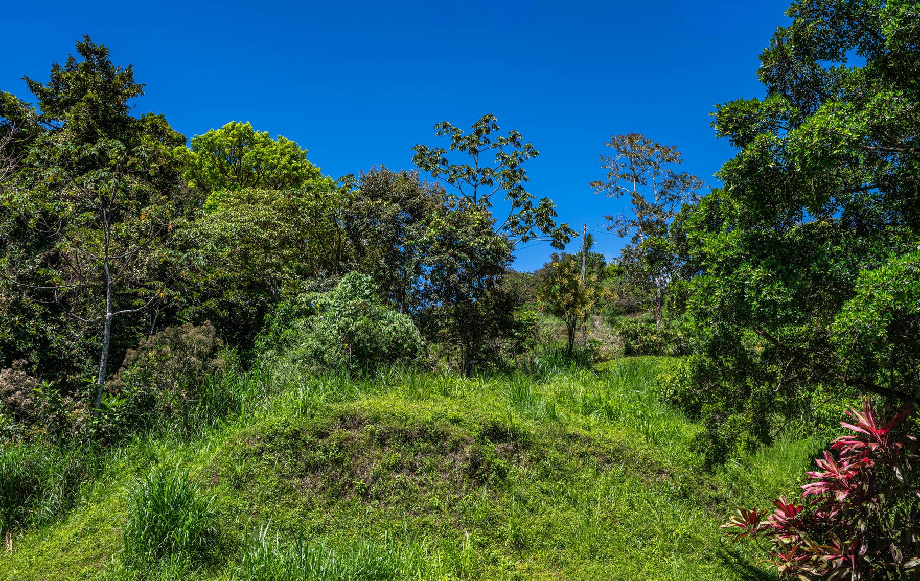 Centrally Located Lake View Lot — foto 15 de 19