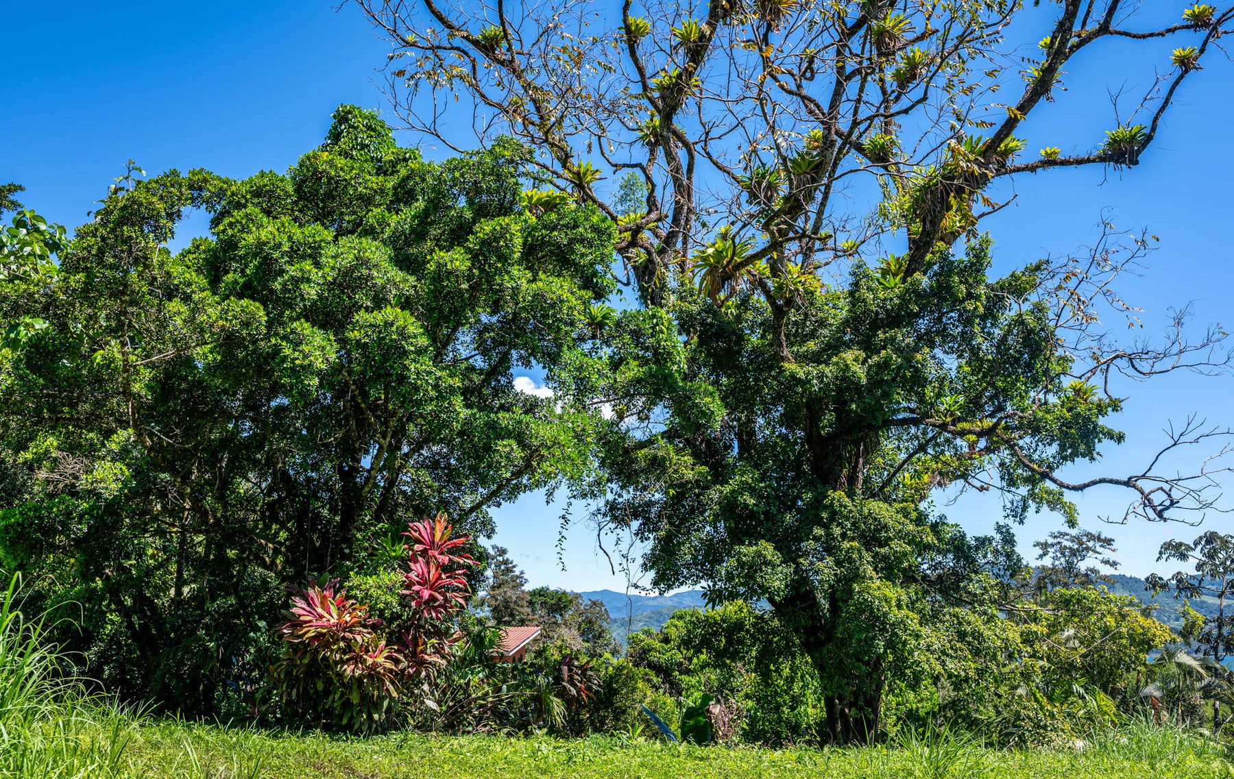 Centrally Located Lake View Lot — foto 9 de 19